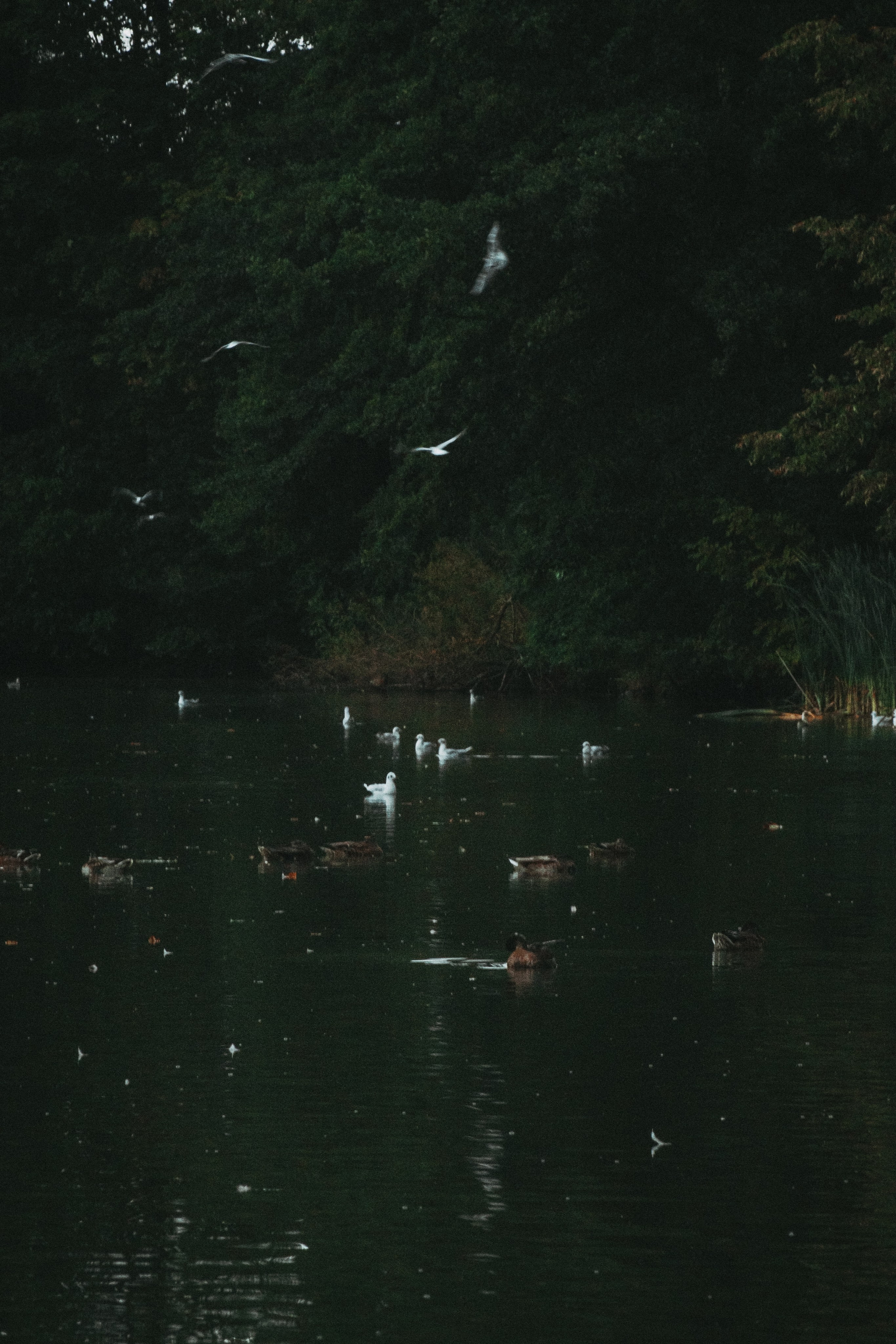 Т Е П Л Ы Й — З Е Л Е Н Ы Й. — Digital Noise —