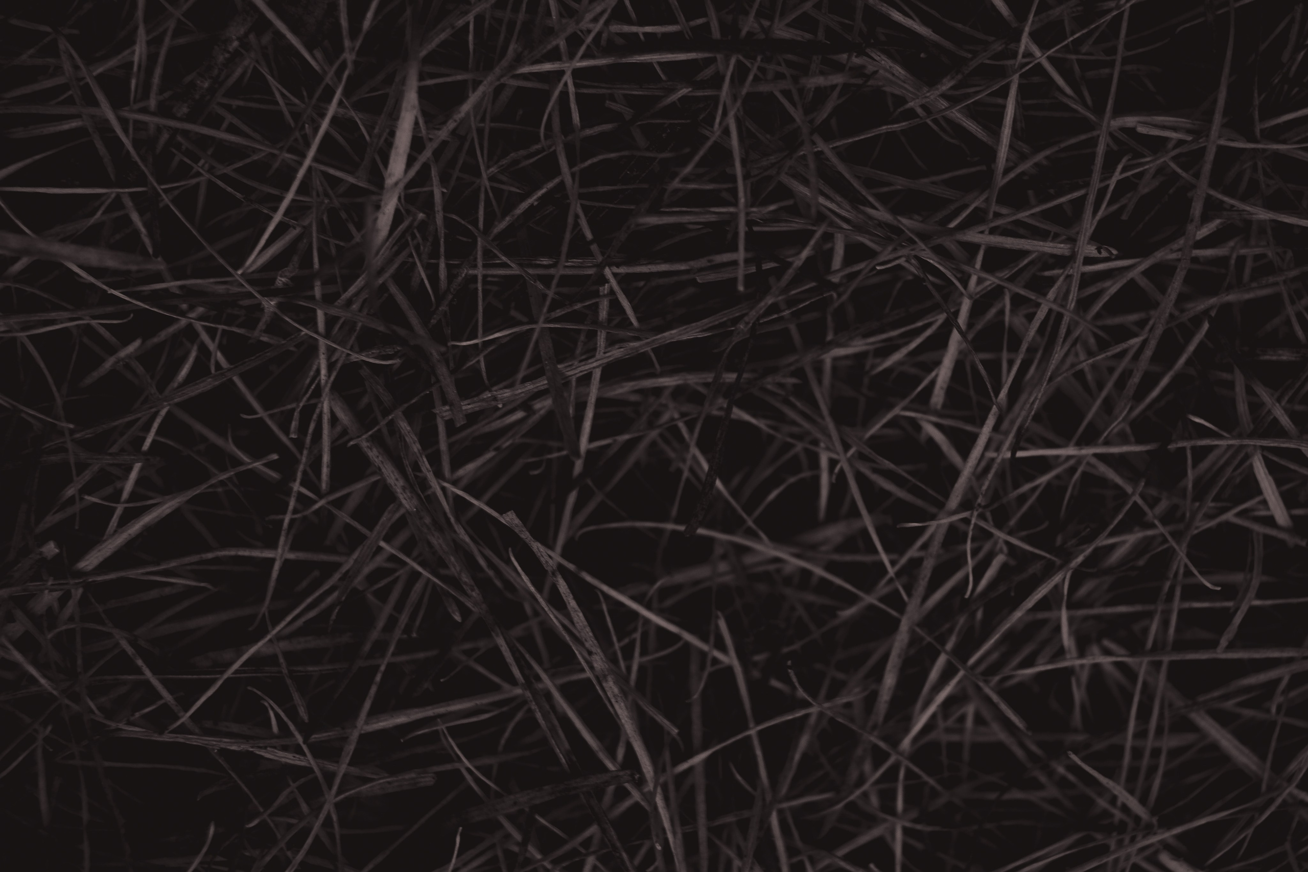 Ф О Н О В Ы Е. — Digital Noise —