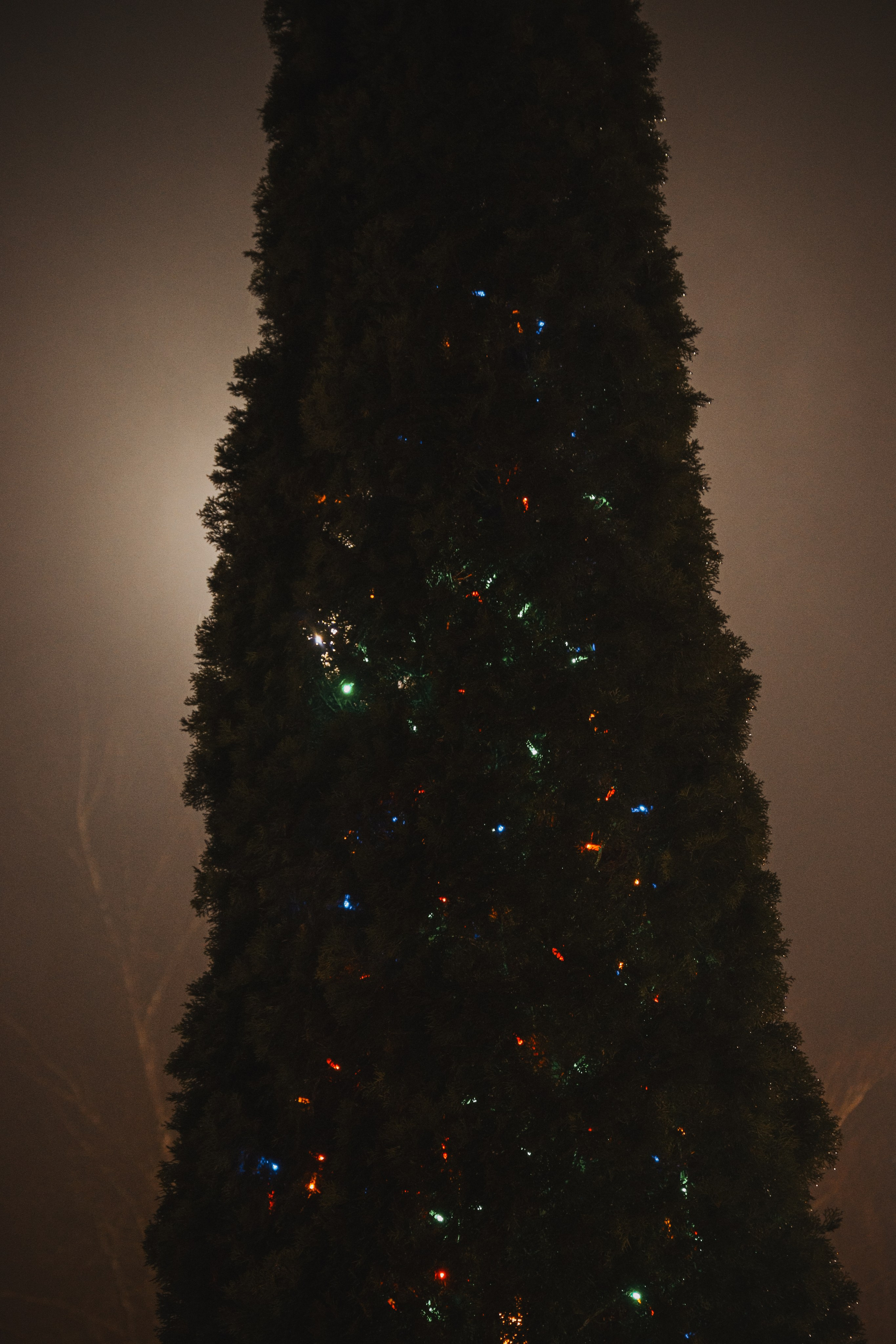 Н О Ч Н Ы Е. — Digital Noise —