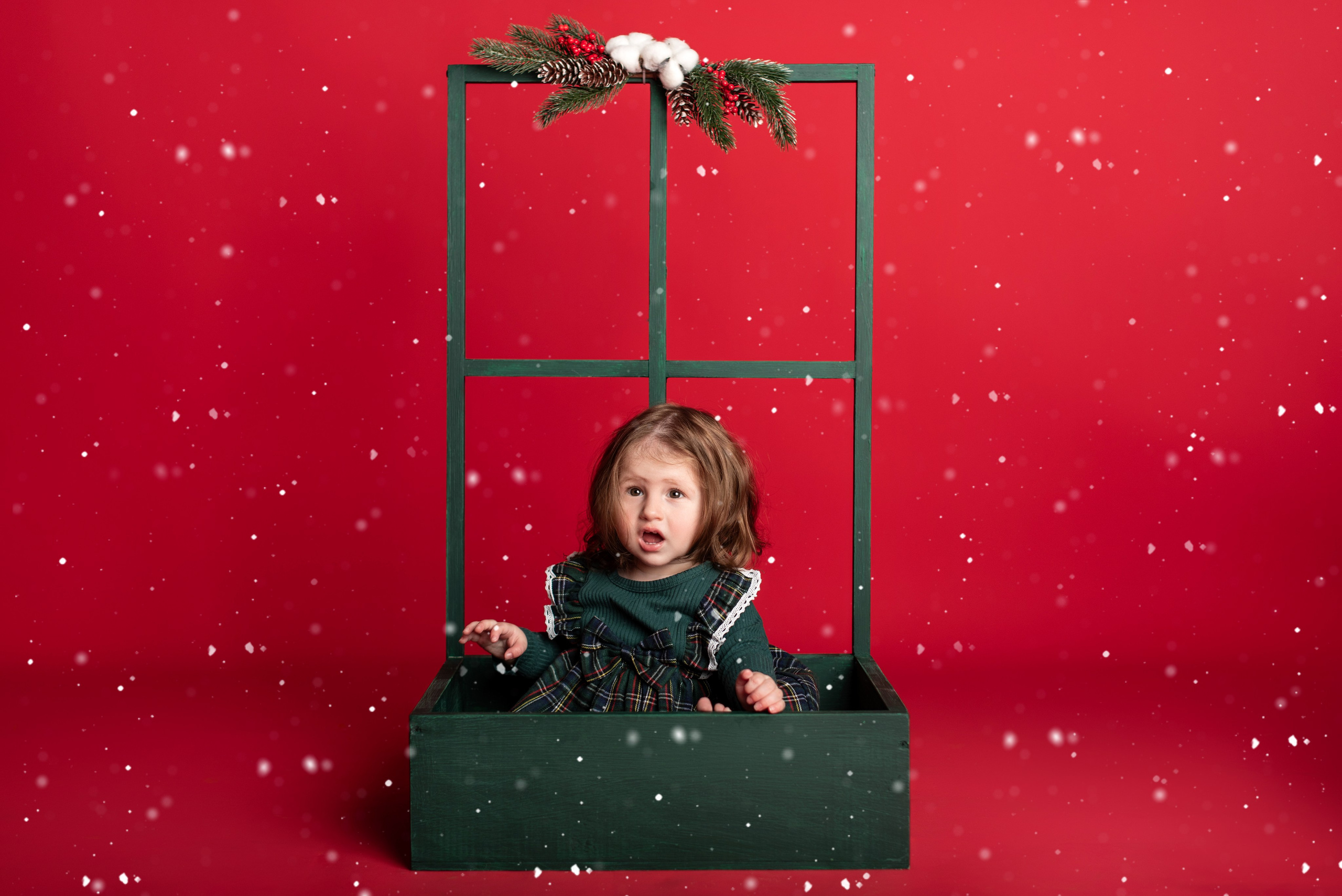 Новый год. Фотограф новорожденных и беременности Сергиев Посад Усачева Ирина