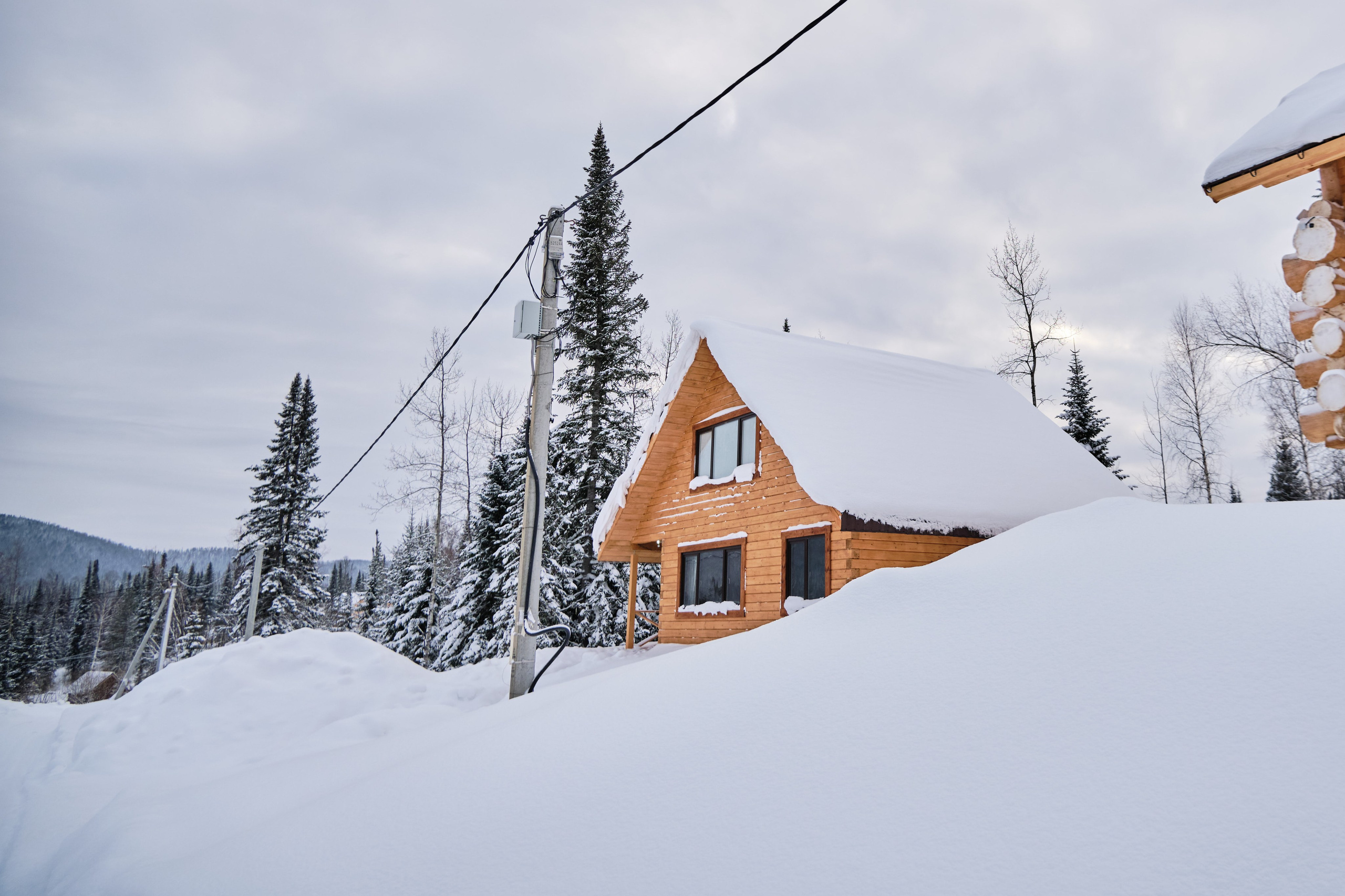 Цветочная ½. Свадебный и семейный фотограф в Новокузнецке Иван Иванов