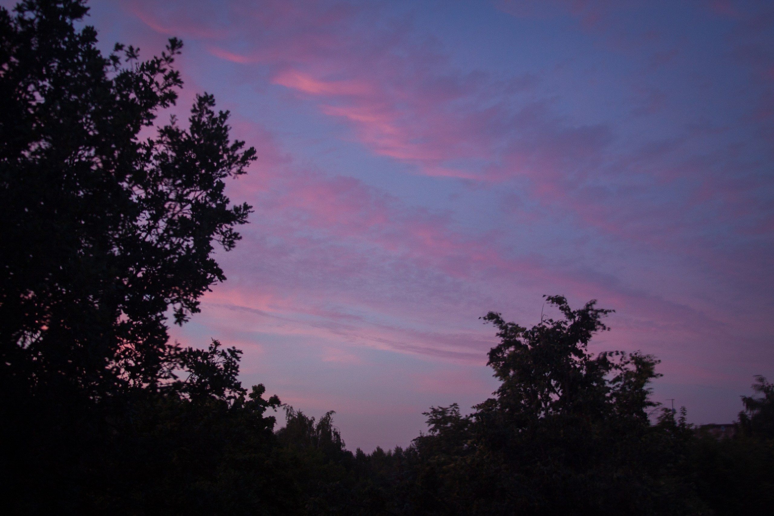 Природа. Матвей Лебедев: фото и видео, сайты. Москва, Жуковский, Малаховка