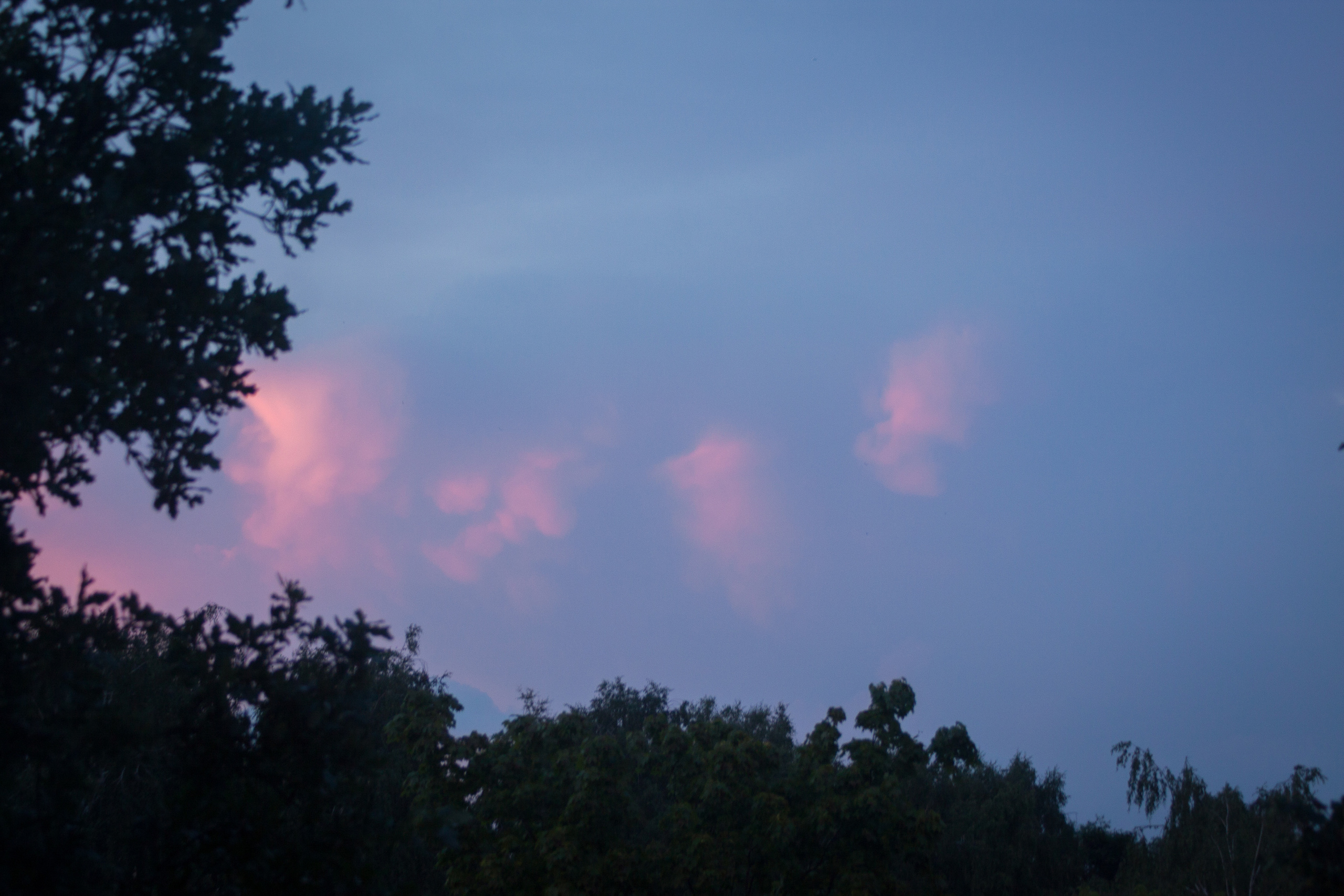 Природа. Матвей Лебедев: фото и видео, сайты. Москва, Жуковский, Малаховка