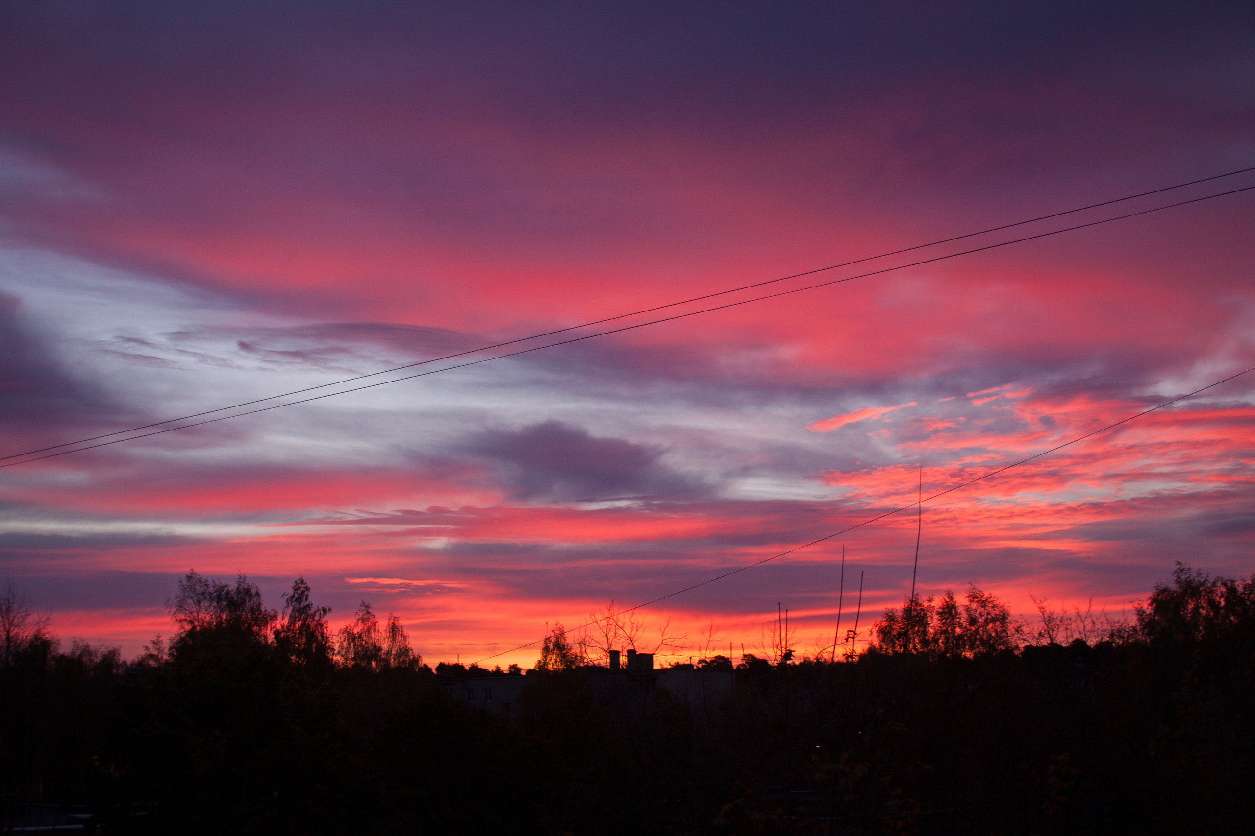 Природа. Матвей Лебедев: фото и видео, сайты. Москва, Жуковский, Малаховка