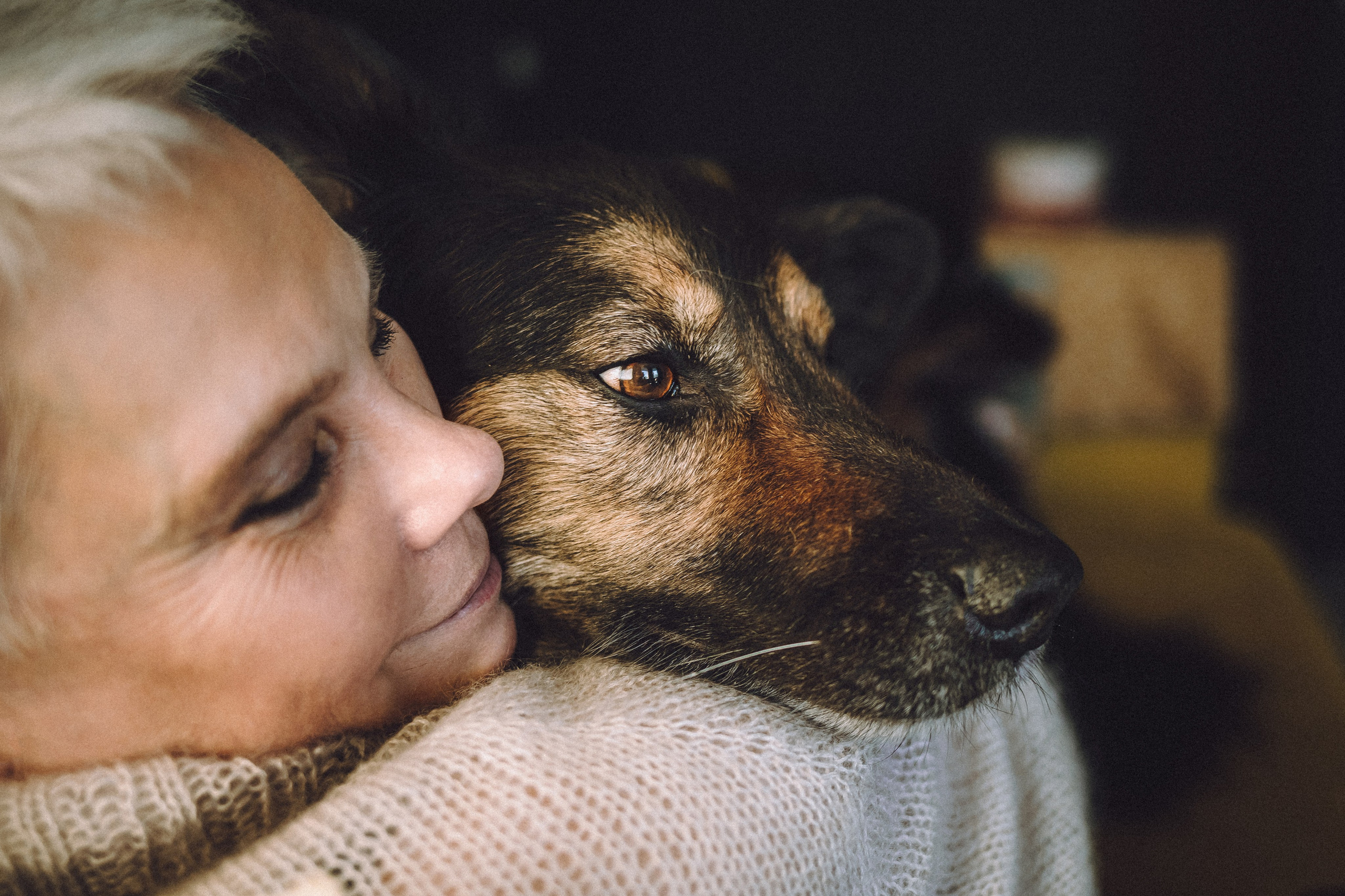 Плюш, Айса и их семья