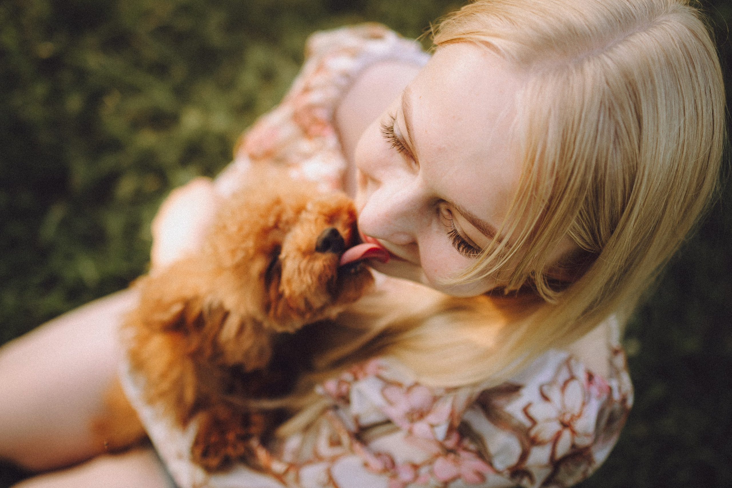 Гречка, Кари и щенки