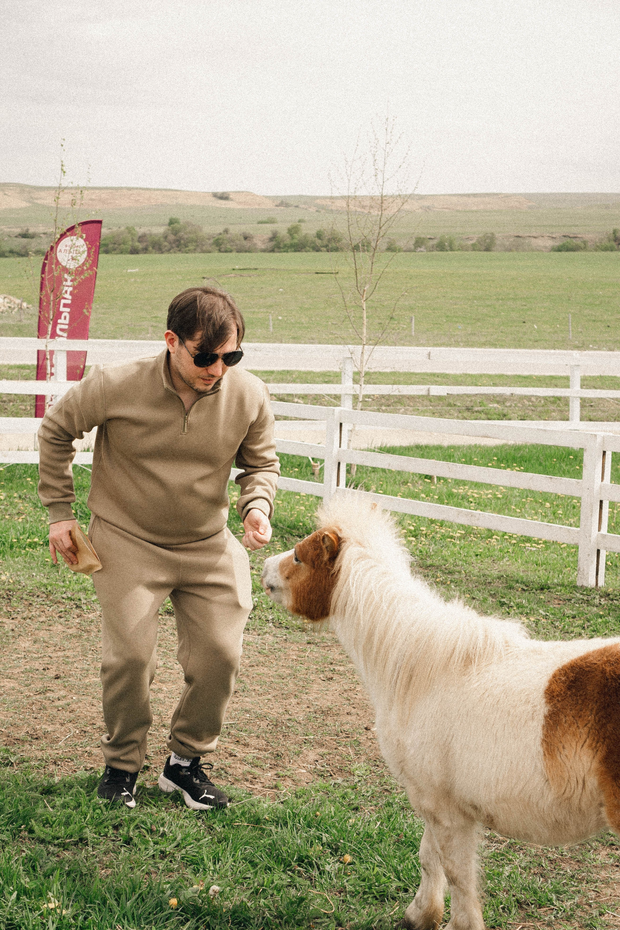 Ферма Альпак. Профессиональный фотограф, Санкт-Петербург — Виктория Богомолова