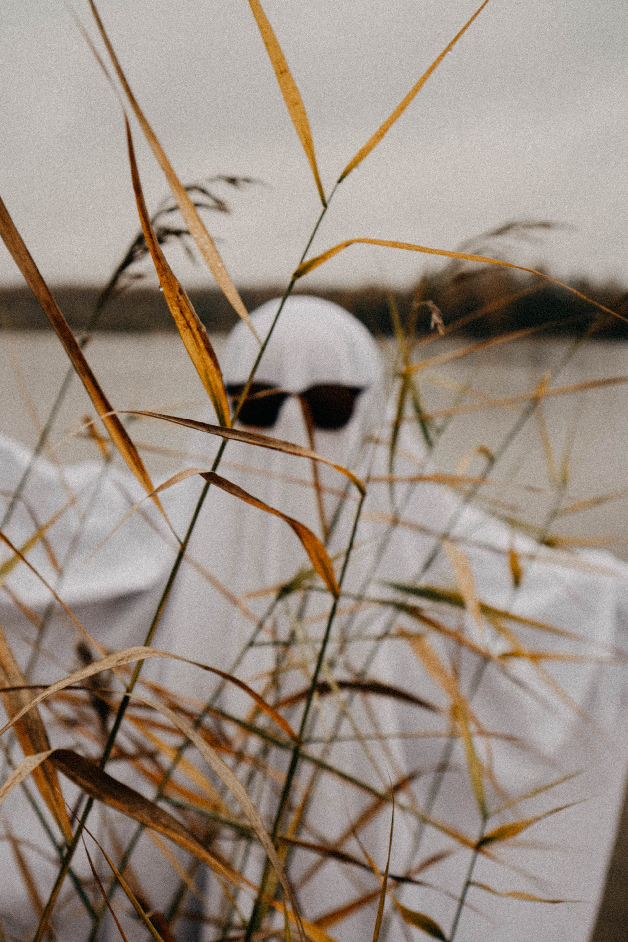 Осеняя. Профессиональный фотограф, Санкт-Петербург — Виктория Богомолова