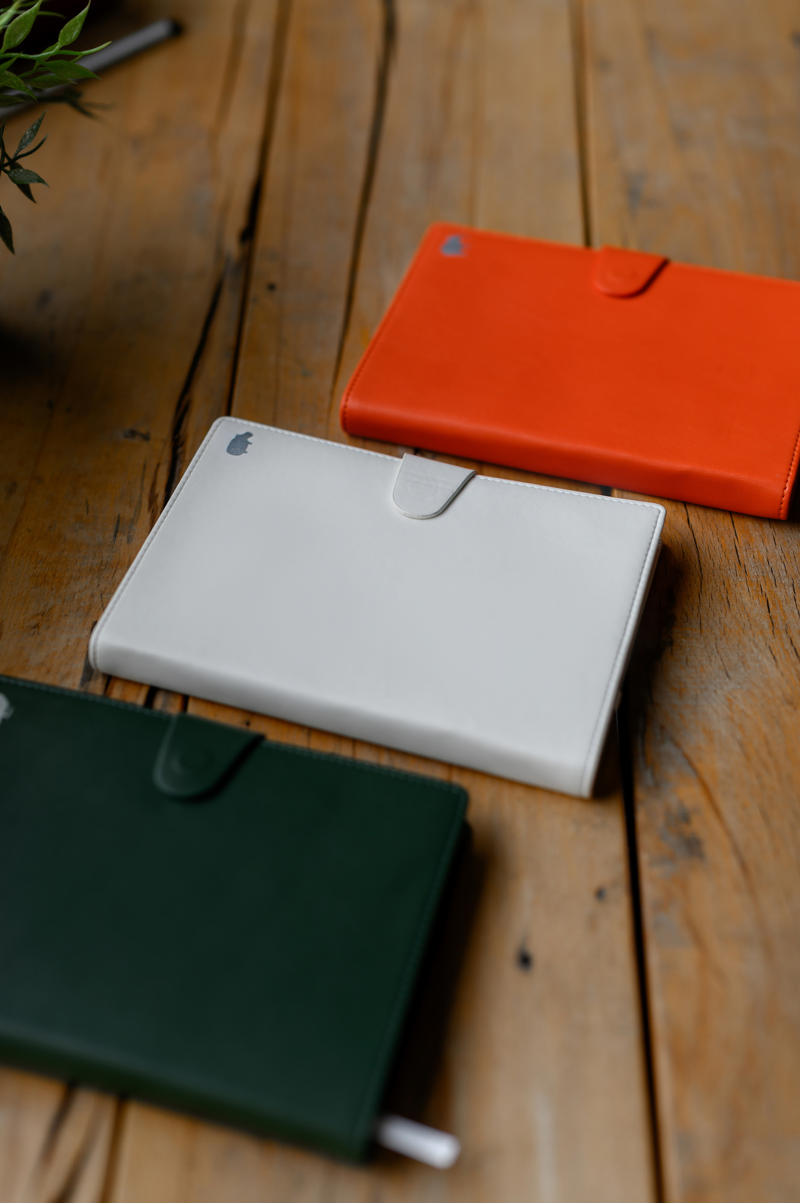 Съёмка для производителя ежедневников. Semerlina.ru