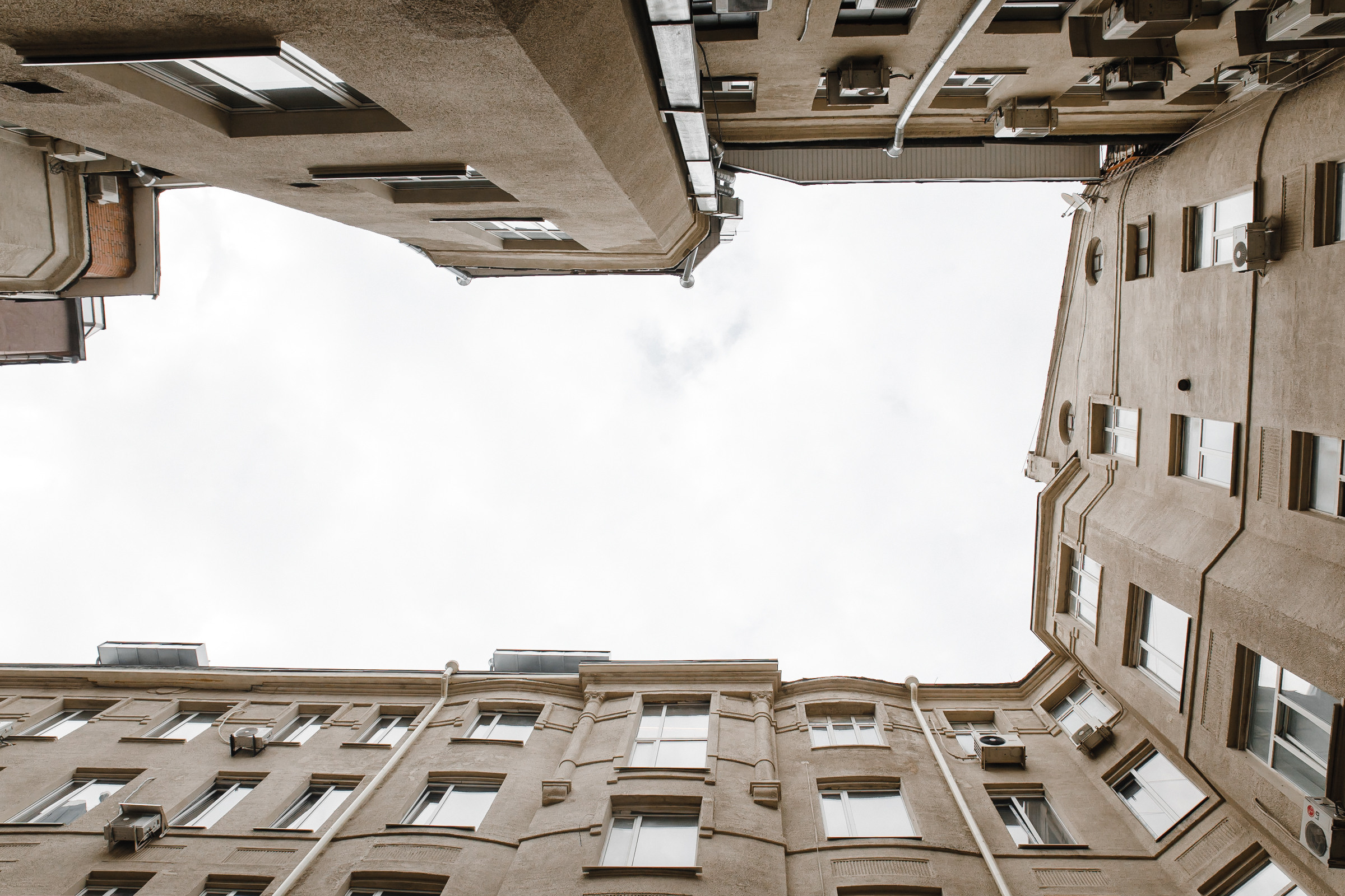 Котики vs серотонин. ROMA GORBATOVSKY