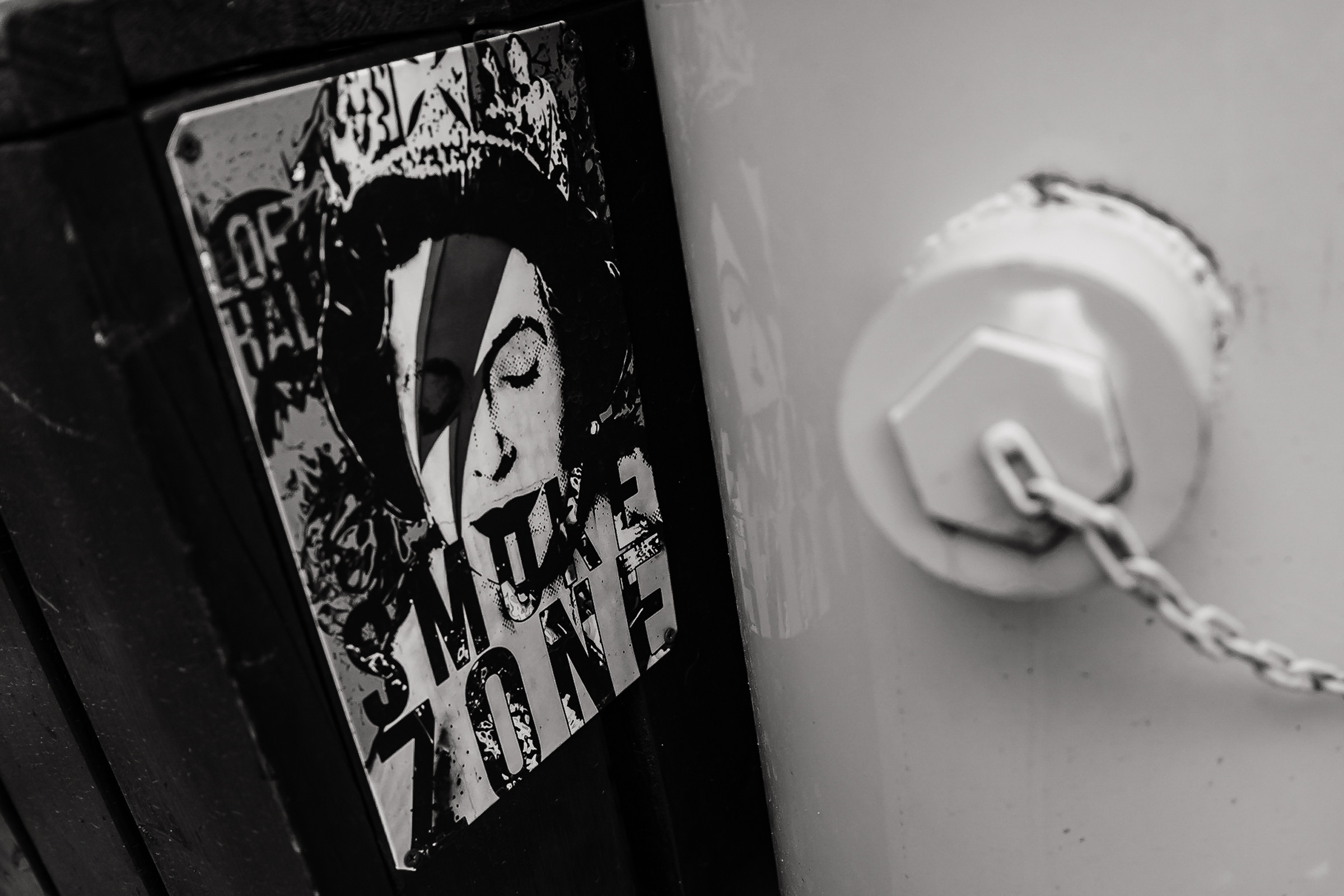 Котики vs серотонин. ROMA GORBATOVSKY