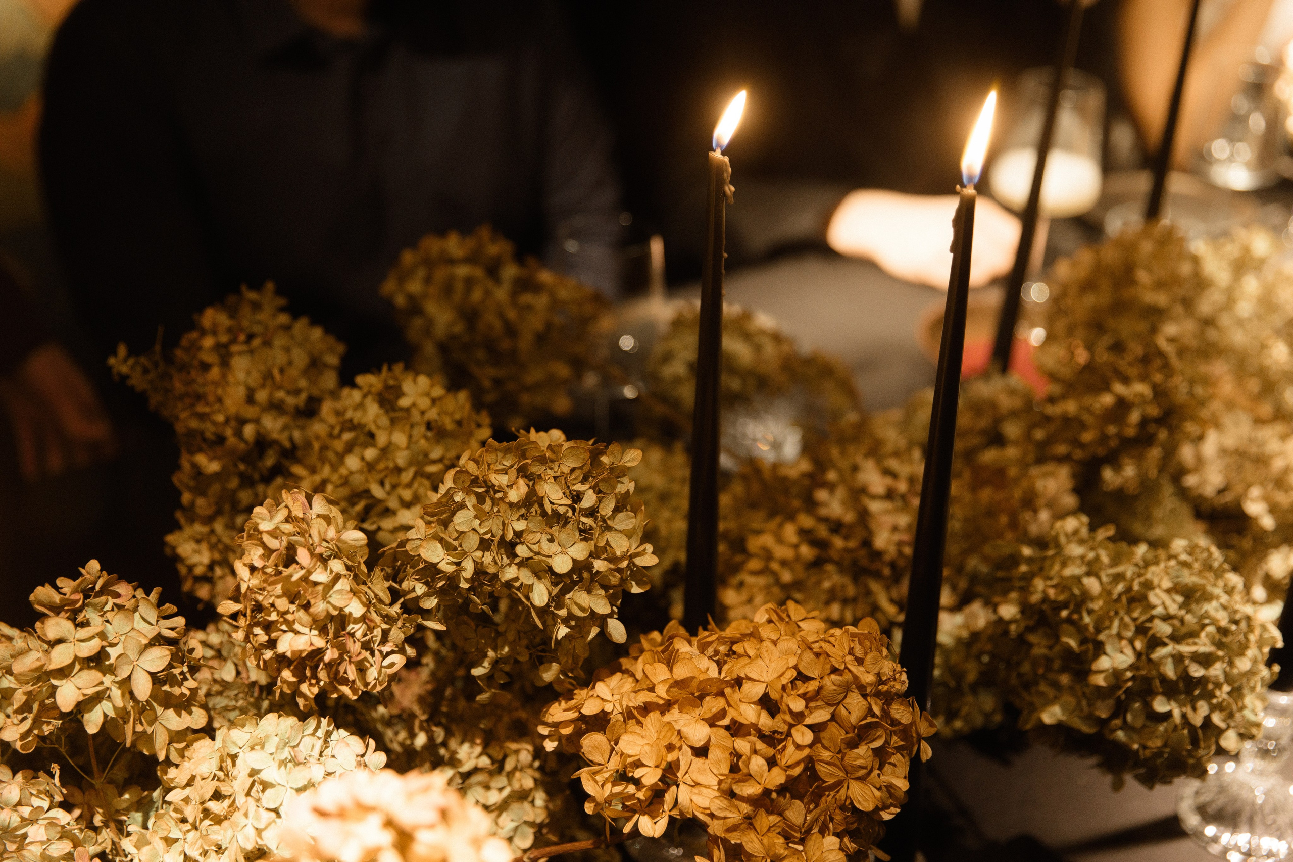 A&A. Фотограф в Новосибирске и Москве