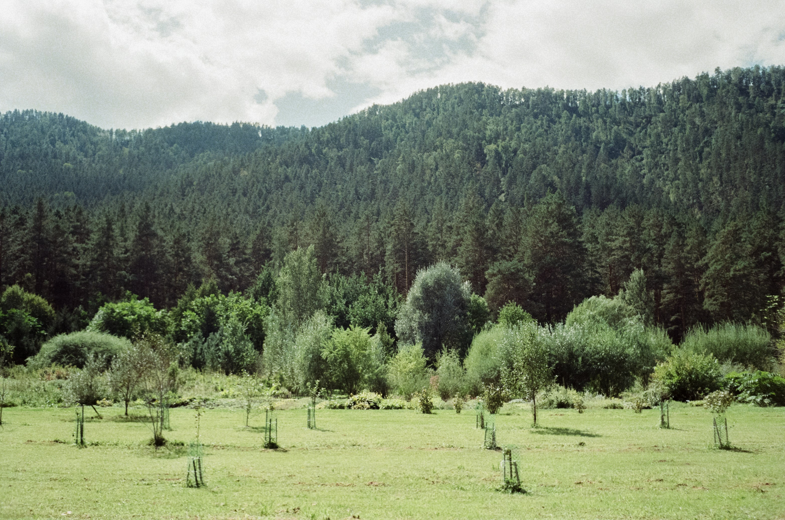 Алтай 08-09/2024