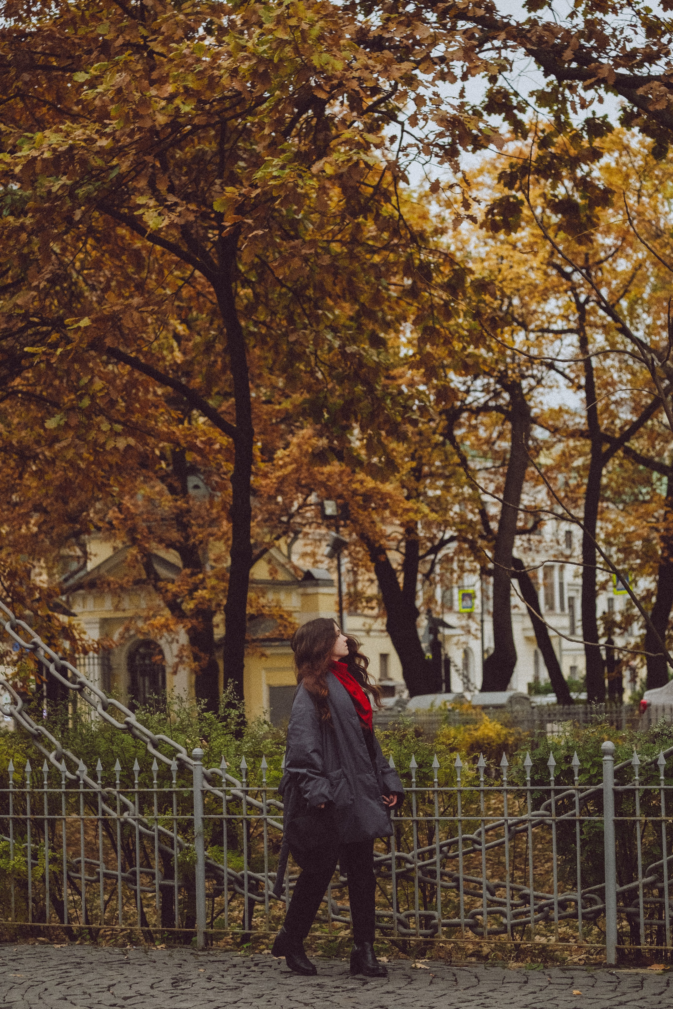 Осень. Профессиональный фотограф, Санкт-Петербург — Виктория Богомолова