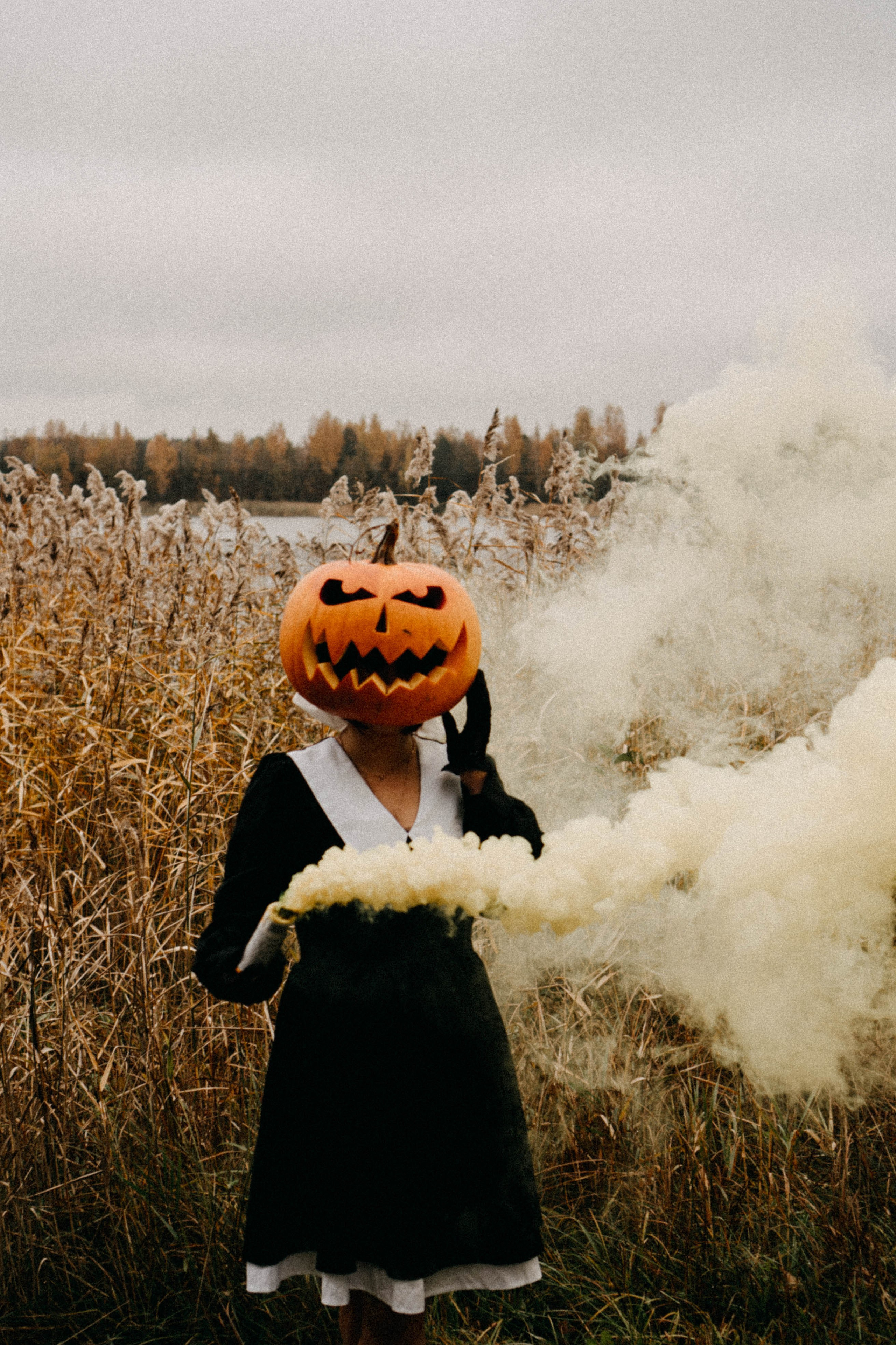 Осеняя. Профессиональный фотограф, Санкт-Петербург — Виктория Богомолова