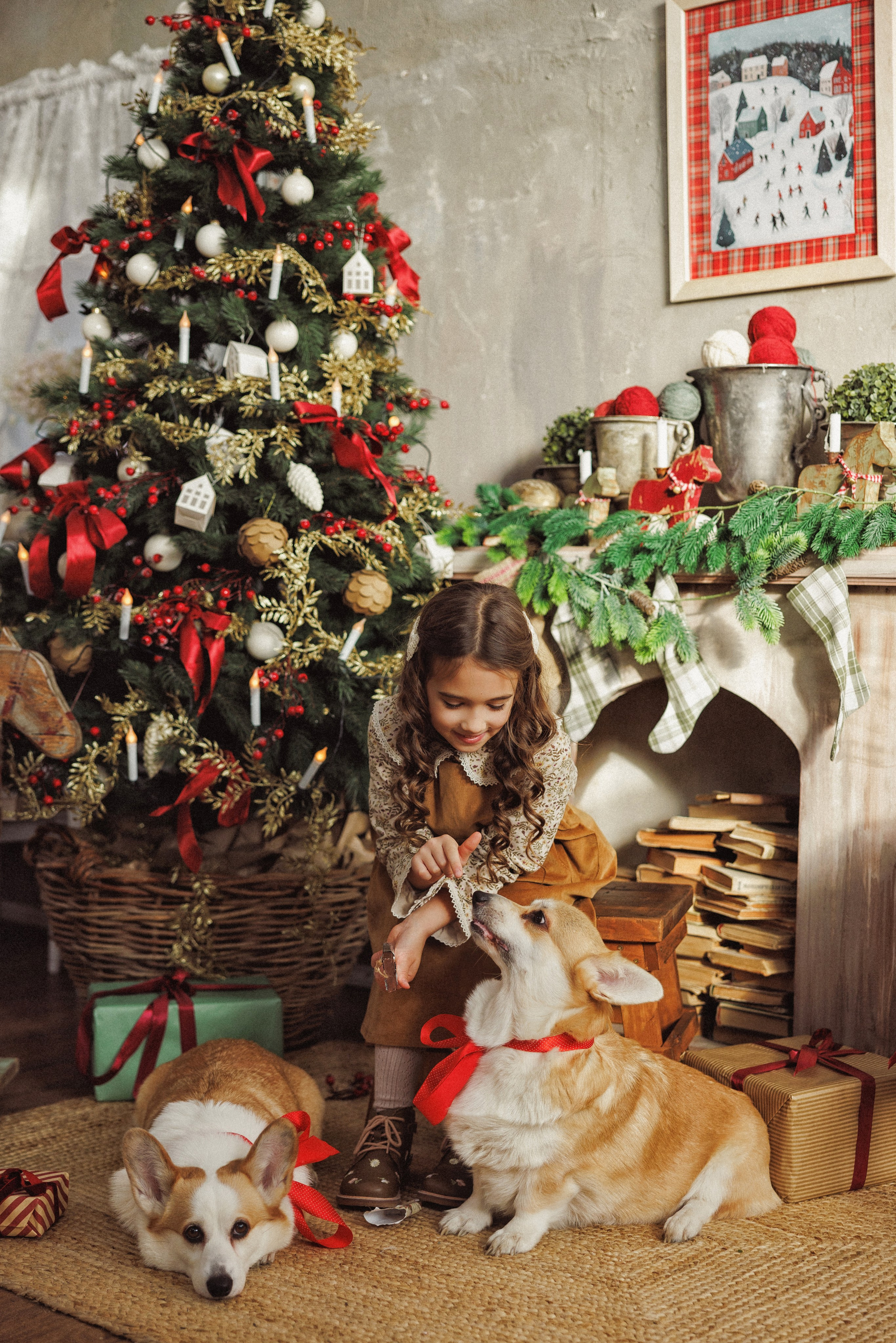 Новогодняя фотосессия с собачками породы Корги, город Краснодар. Семейный и детский фотограф в Краснодаре Анна Трашкова