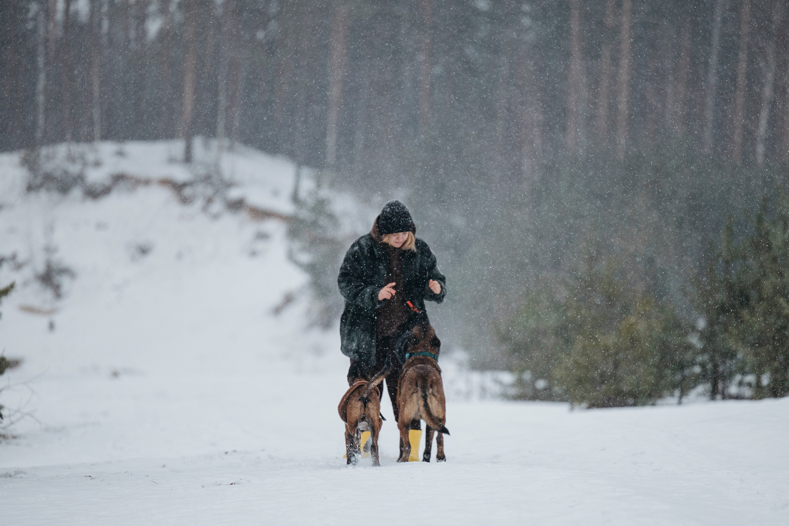 Карьер. Фотограф-анималист Анна Маринич