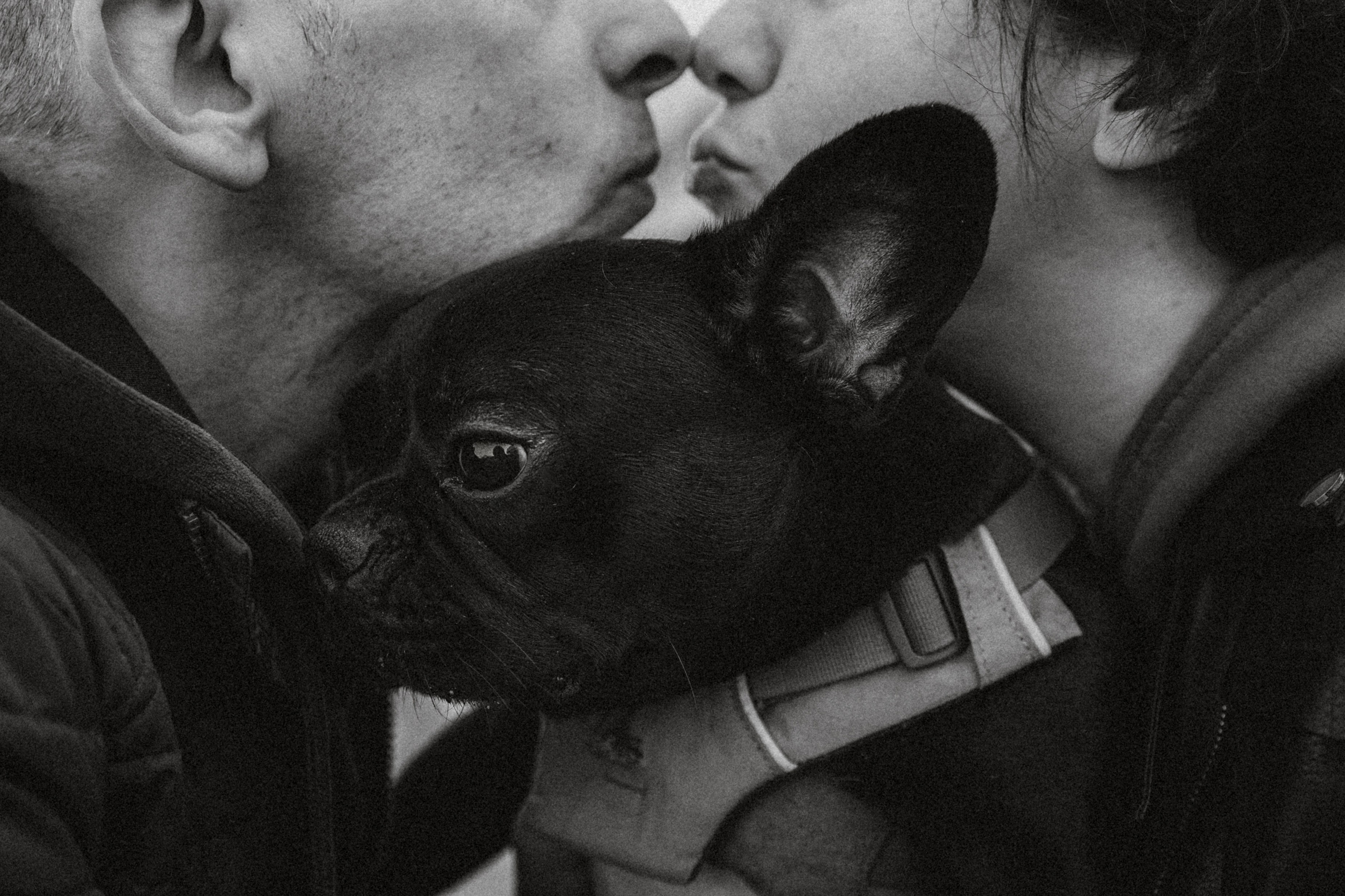 Саша, Дима и Шпуля