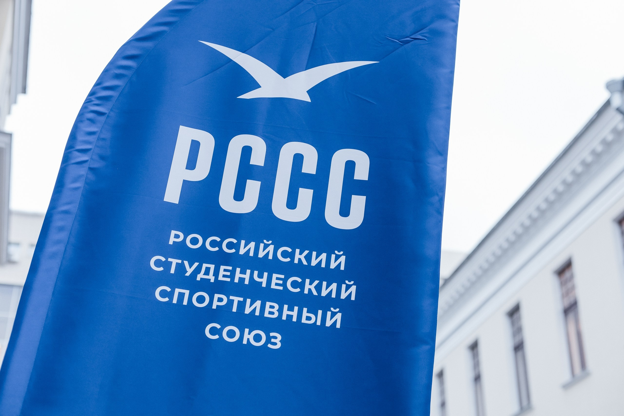 Деловые события. Geometria