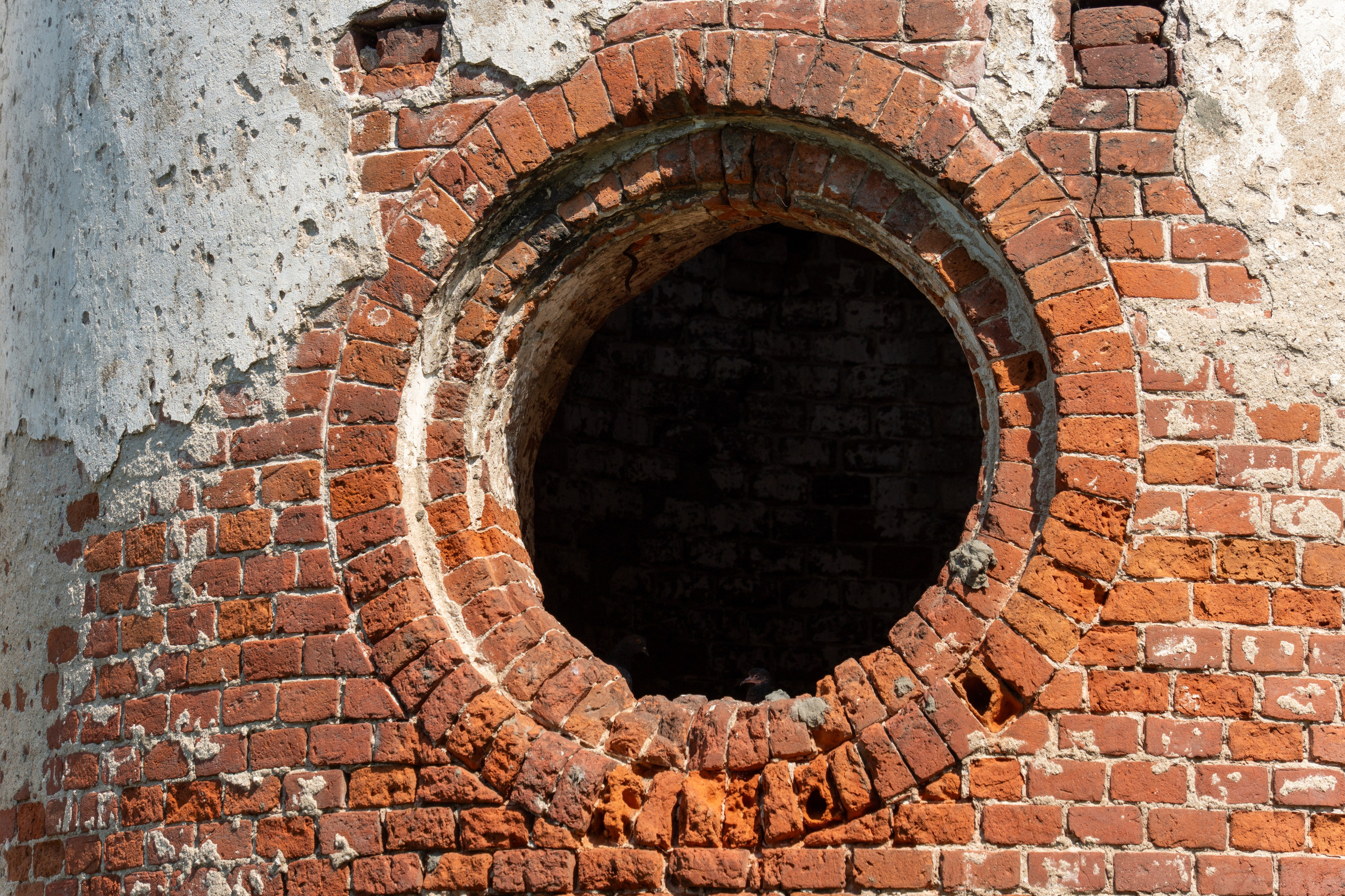 20250729-30 Ростов. Дмитрий Ремизов. Фотография, как хобби