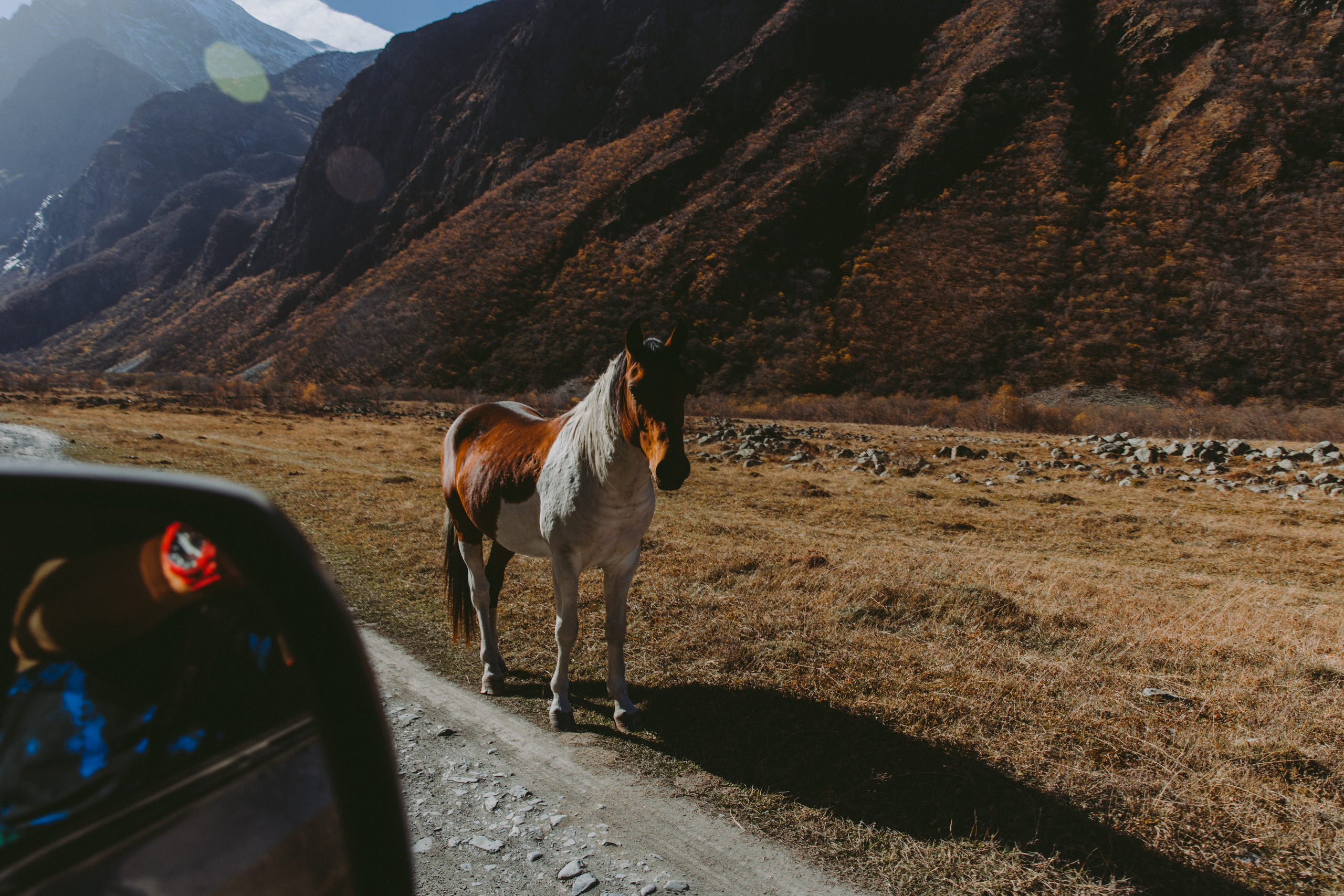 Осетия. Мастерская для создания имиджа от BenSami в Санкт-Петербурге и Москве