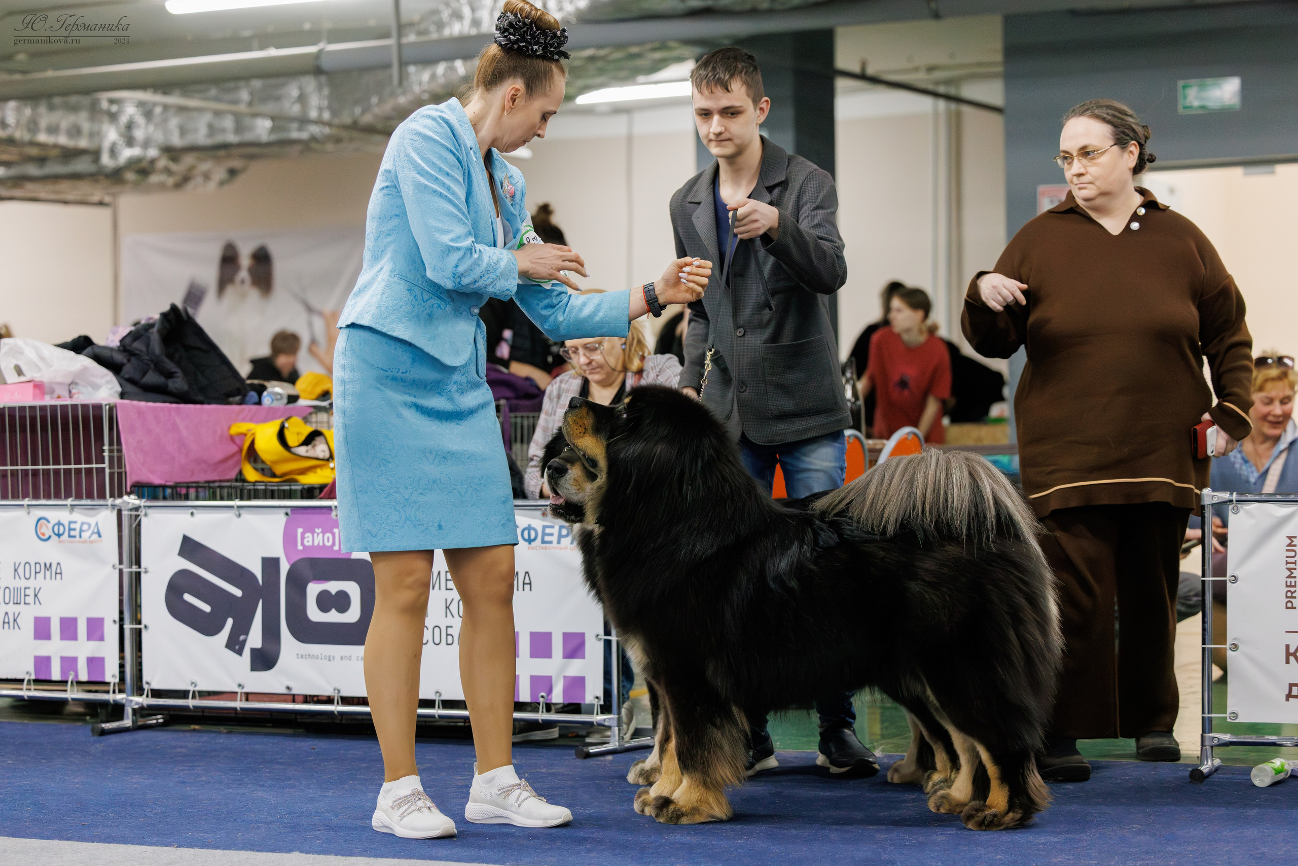 Сфера и Крокус 8,9,16 и 30.03.2025. Фотограф-анималист Юлия Германика