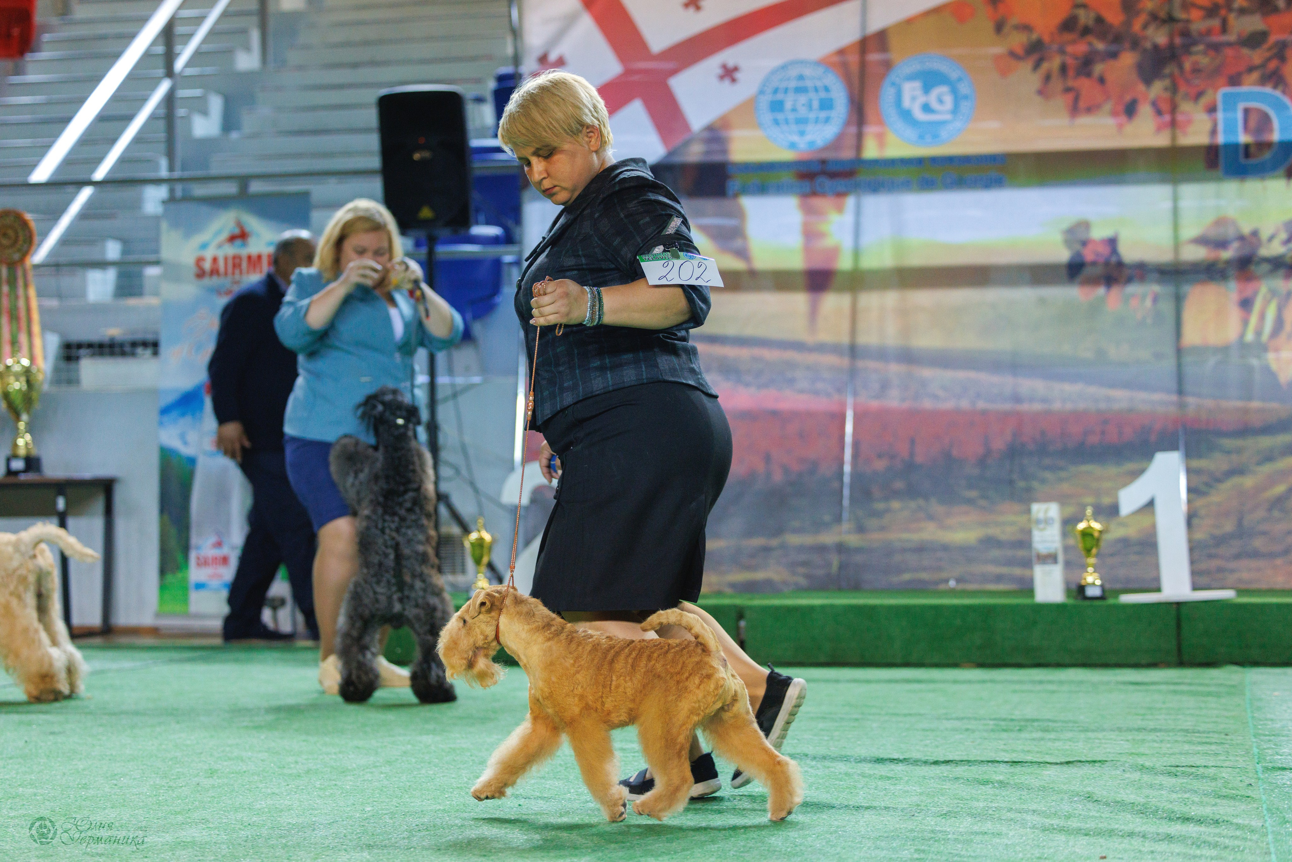 Грузия,Телави 2хCACIB 19-20.10.2024. Фотограф-анималист Юлия Германика