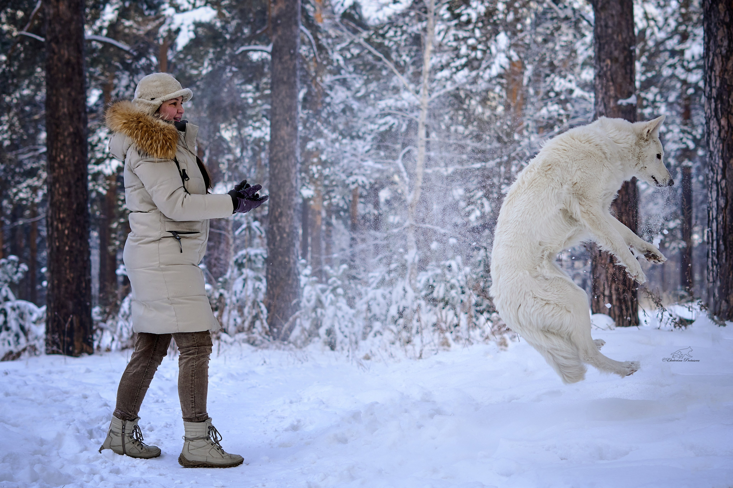 Ксения и ее овчарки. Фотограф-анималист в Иркутске