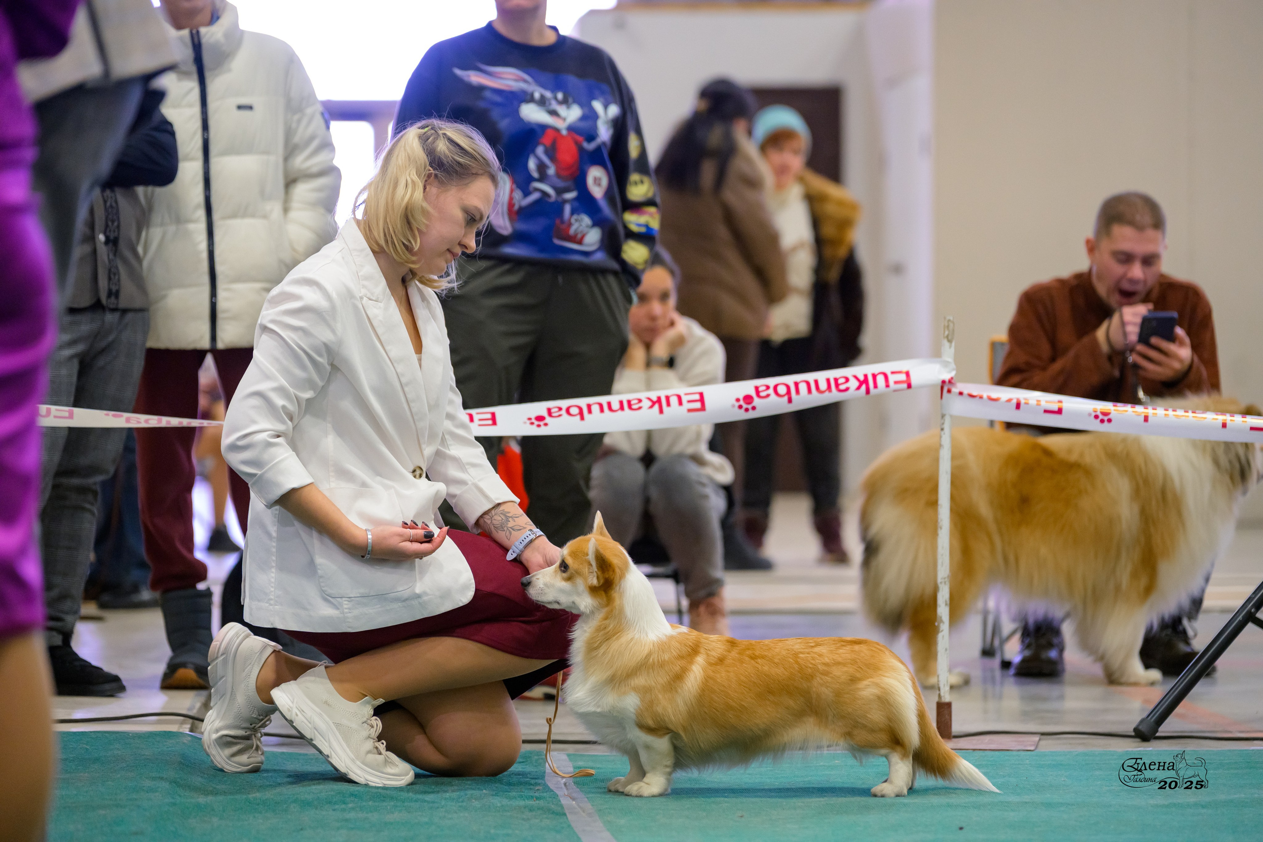6-7.12.2025 г.Новосибирск. Фотограф анималист Елена Галдина г. Красноярск