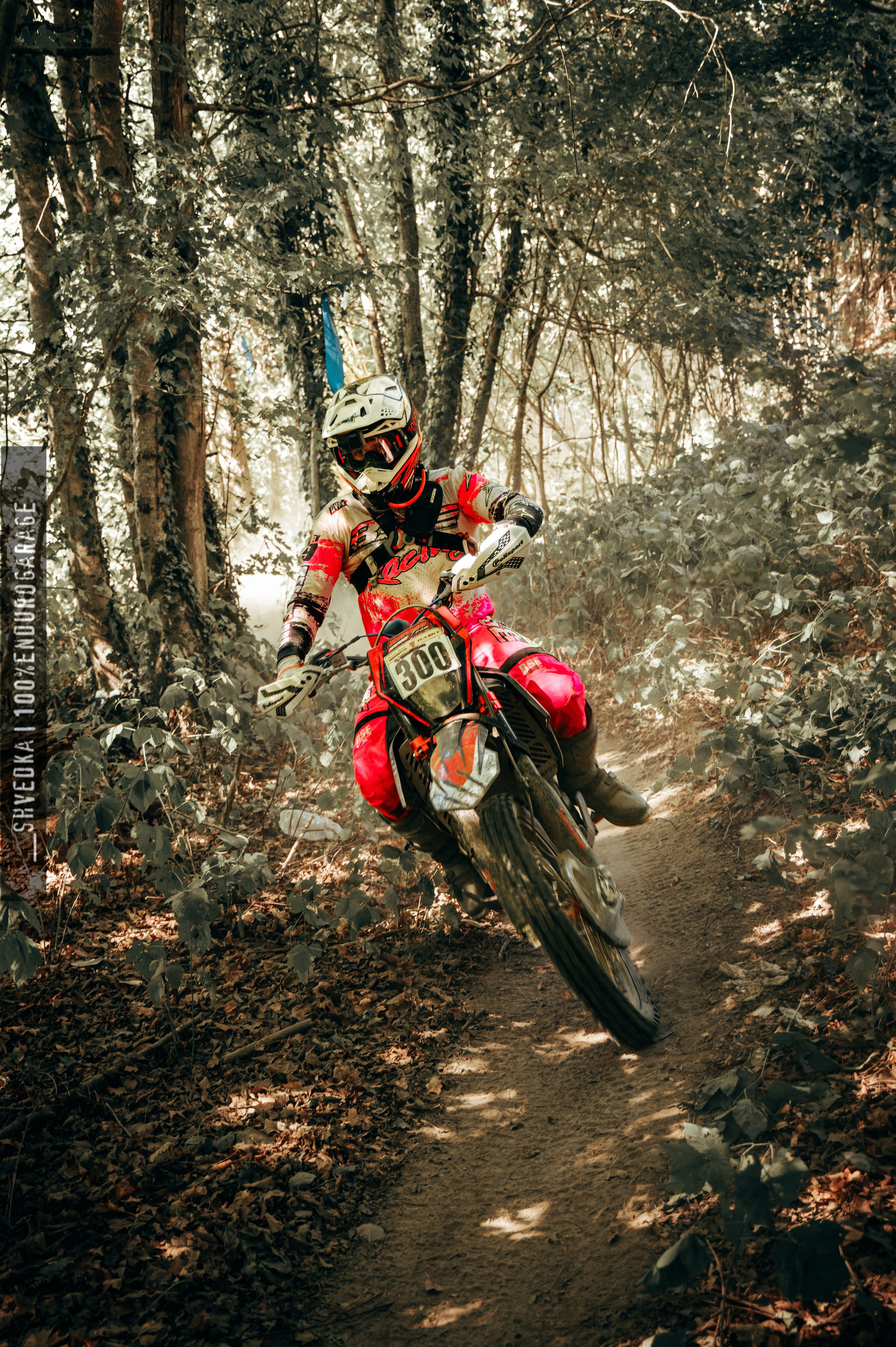 1 лесной день. Ваш экстрим фотограф Кудрева Яна