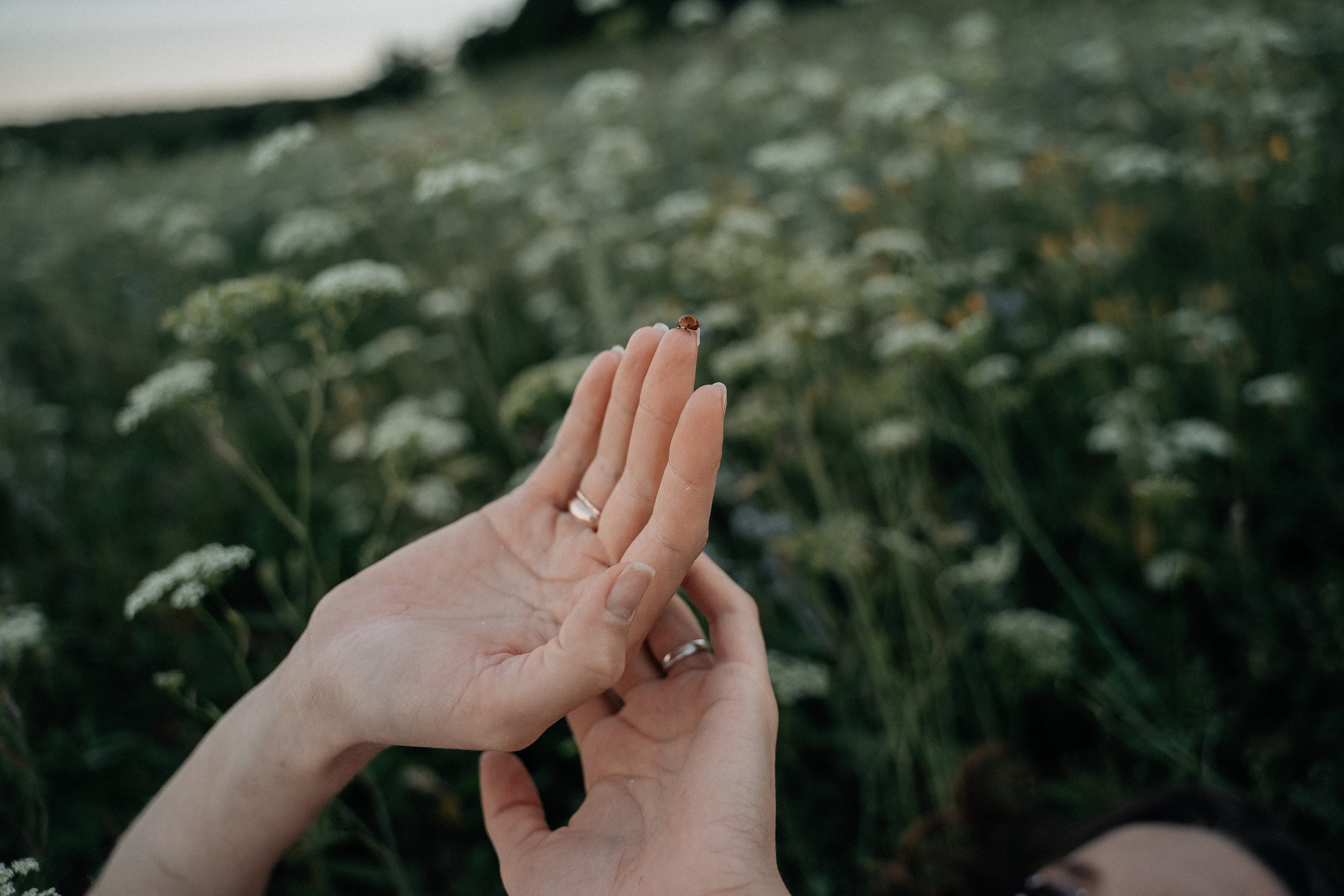 Вилена. Свадебный семейный фотограф Ксения Божко Уфа Раевка никах в Нарыстау
