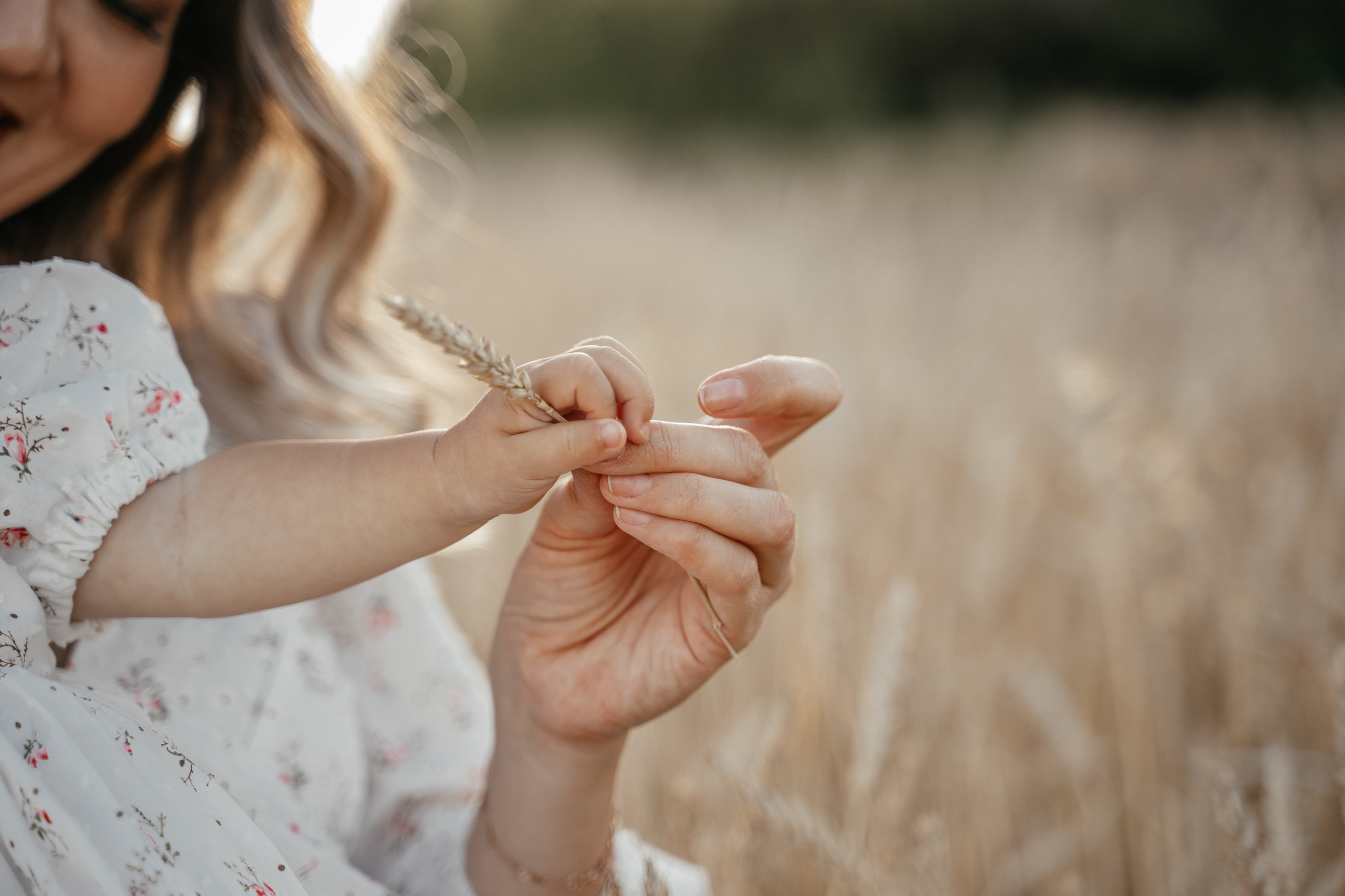 Разалина Рустем Рамина Амира. Свадебный семейный фотограф Ксения Божко Уфа Раевка никах в Нарыстау