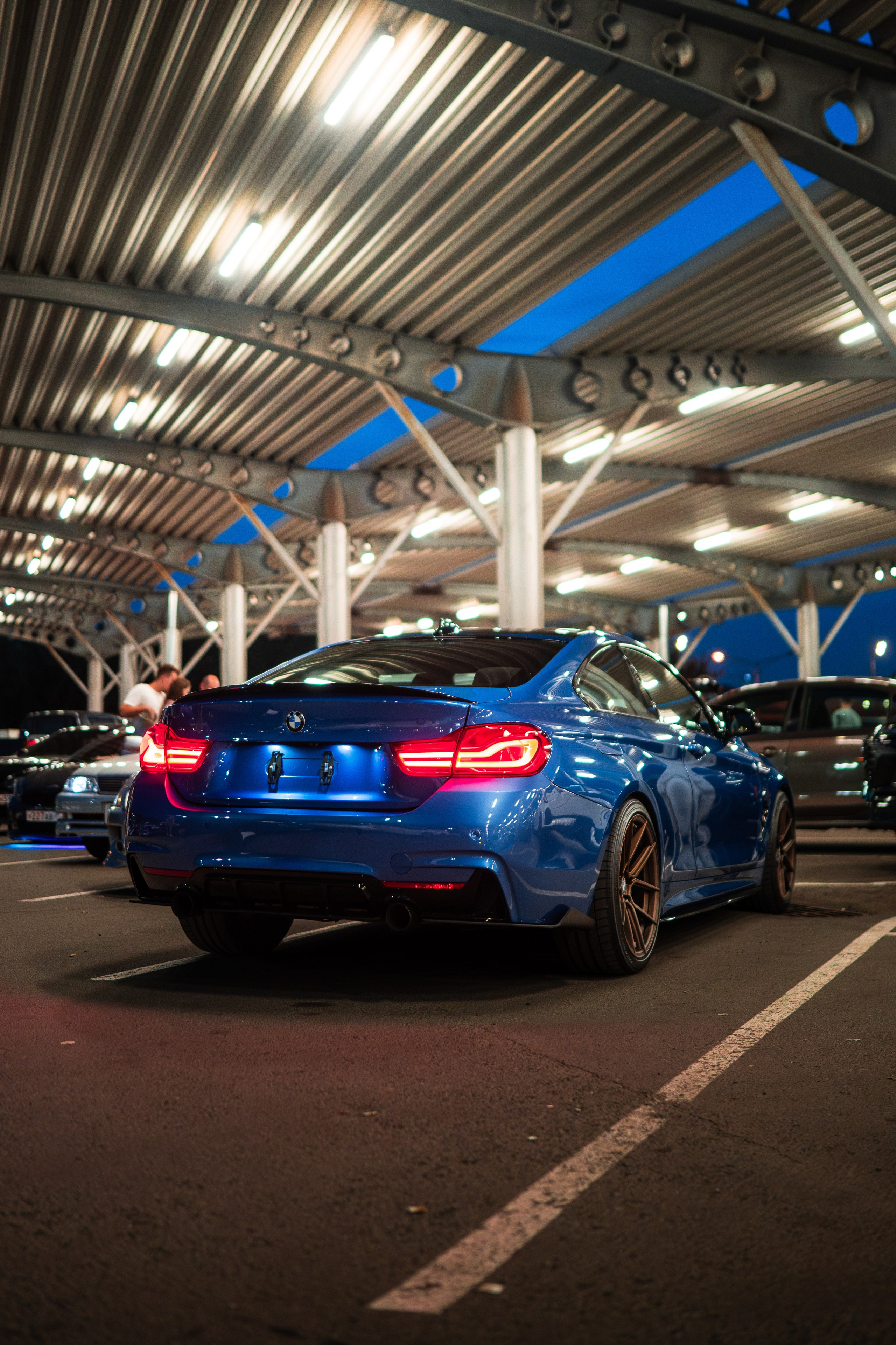 DOWNFLY | 13.07.2024. Mirllaev