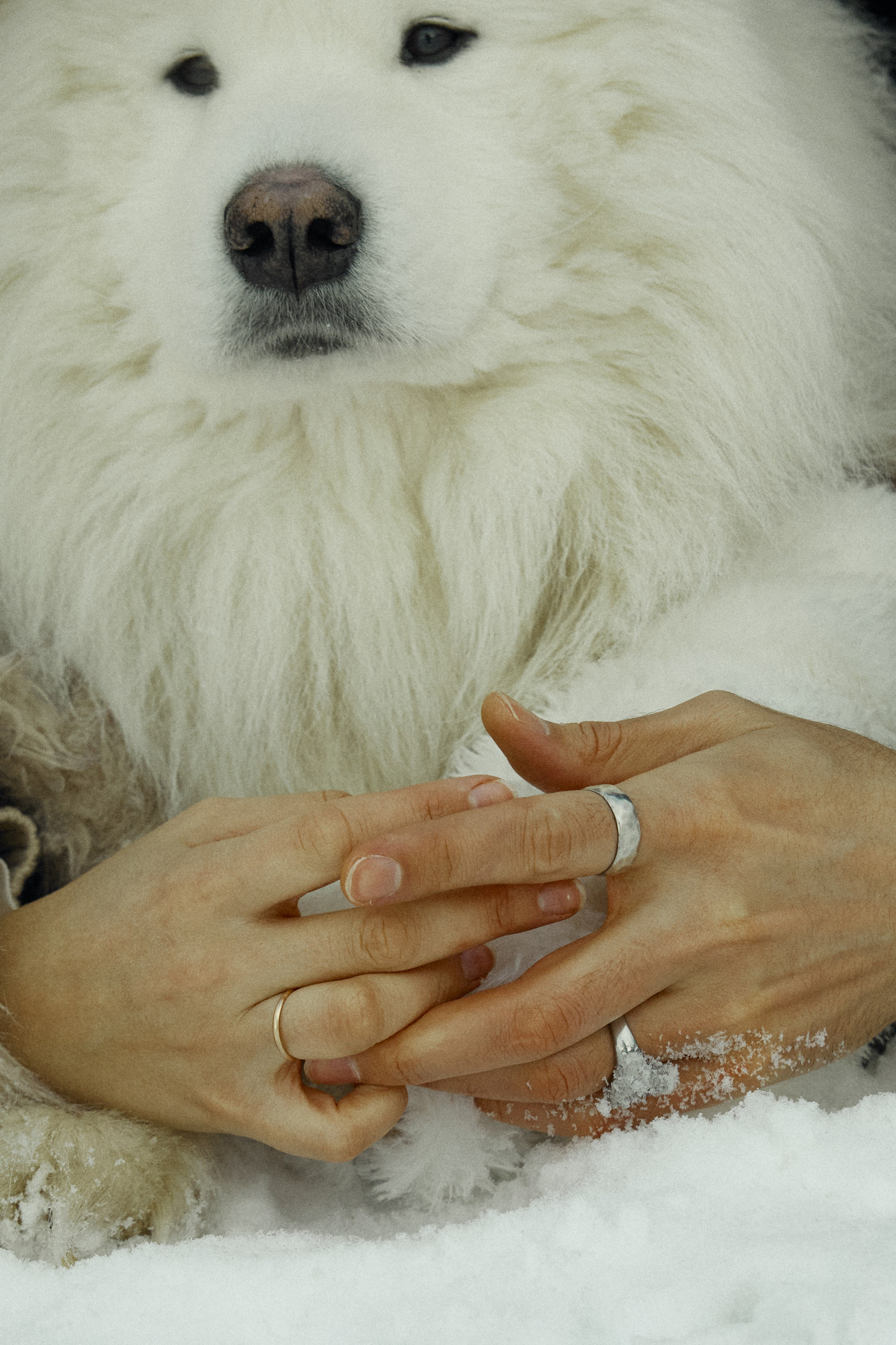 Ангелина Шарабанова