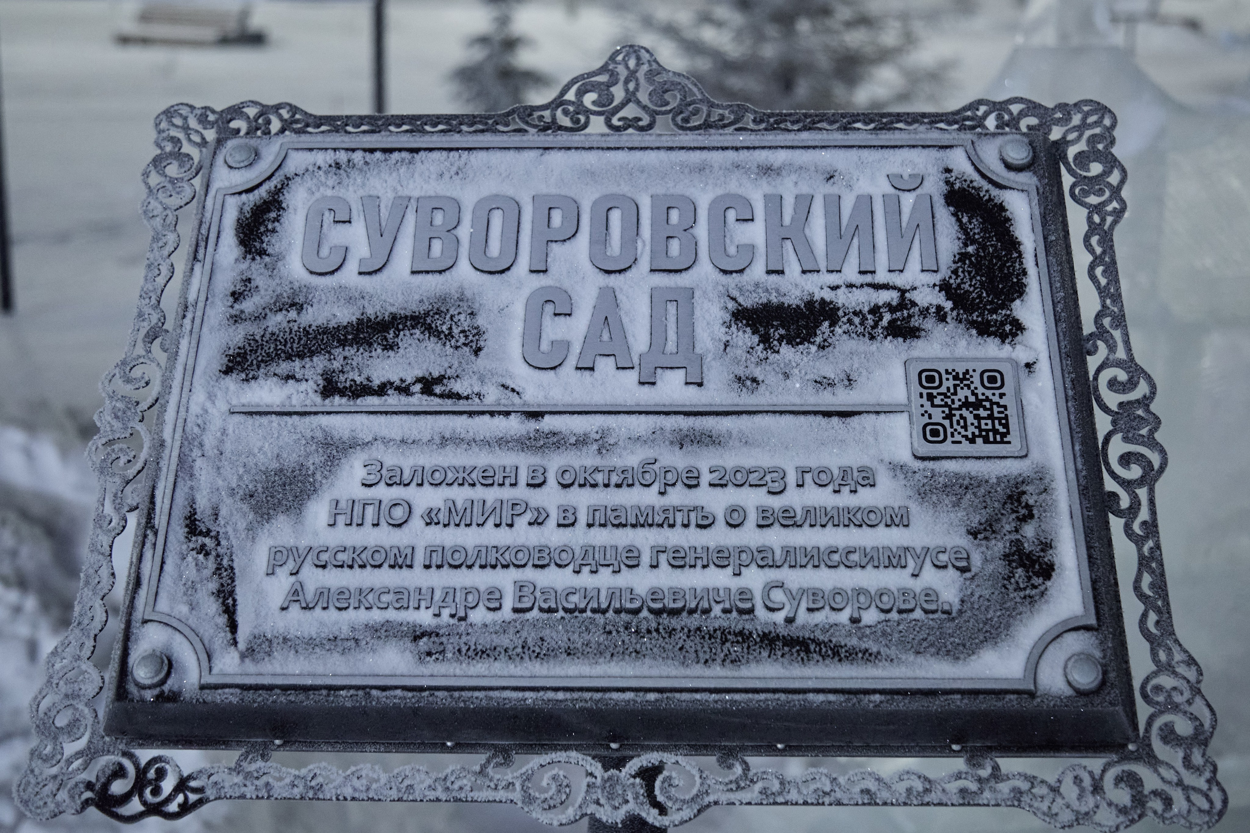 Новогодний Омск 2025. Фотограф Омск | Александр Вандеров