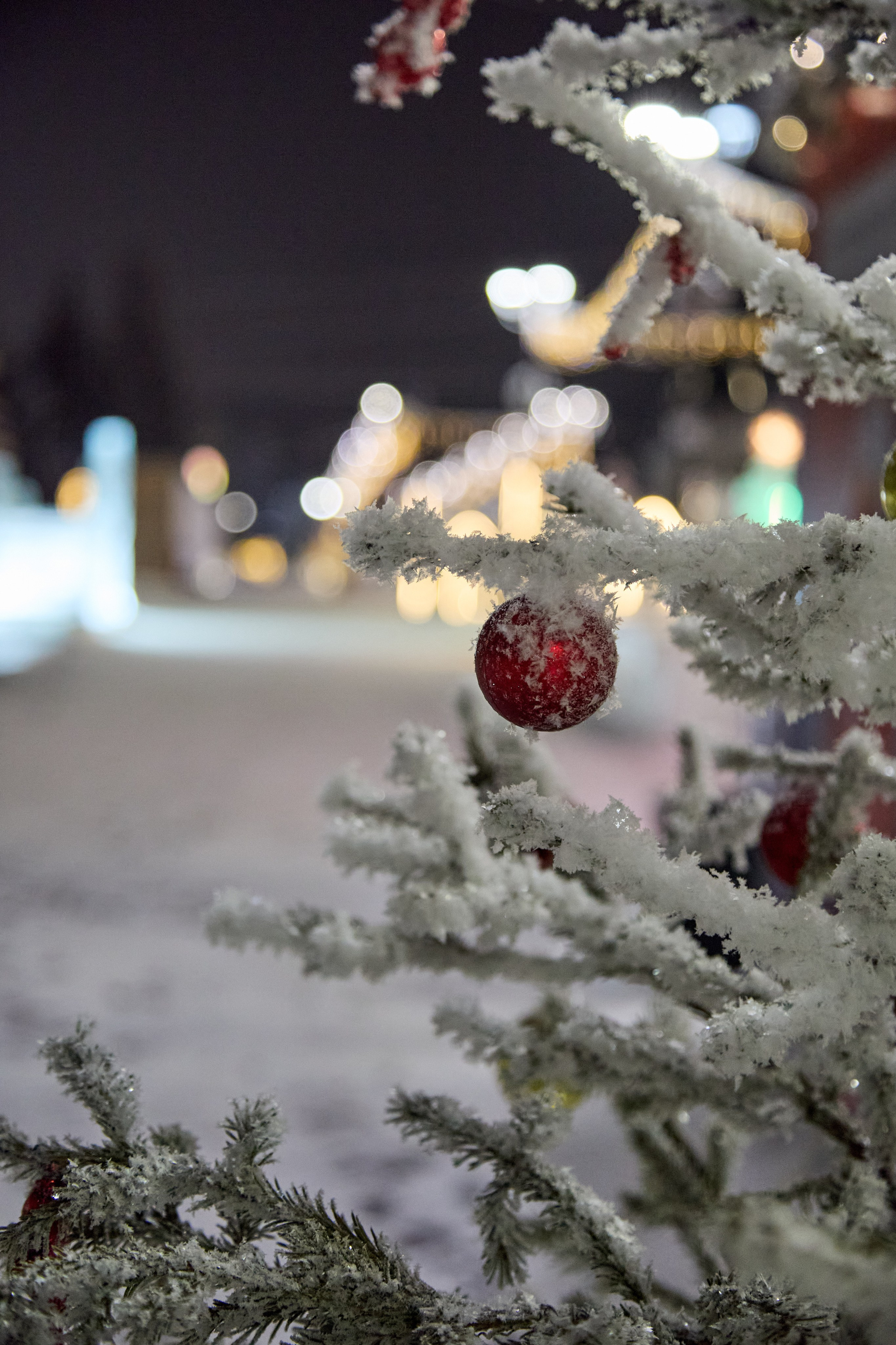 Новогодний Омск 2025. Фотограф Омск | Александр Вандеров