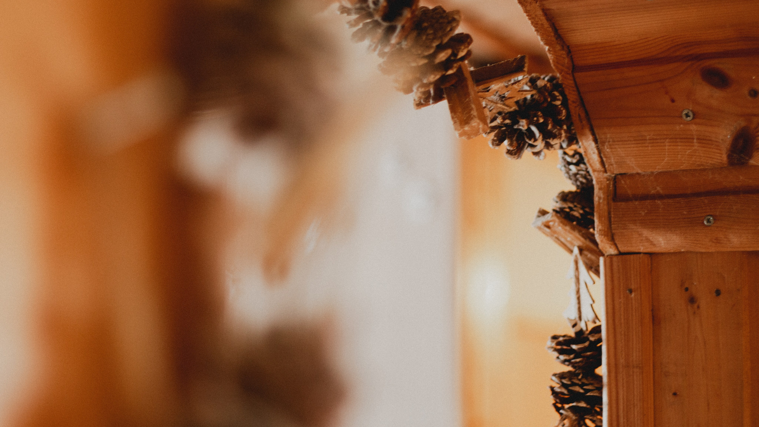 Юля. Мария Колесникова