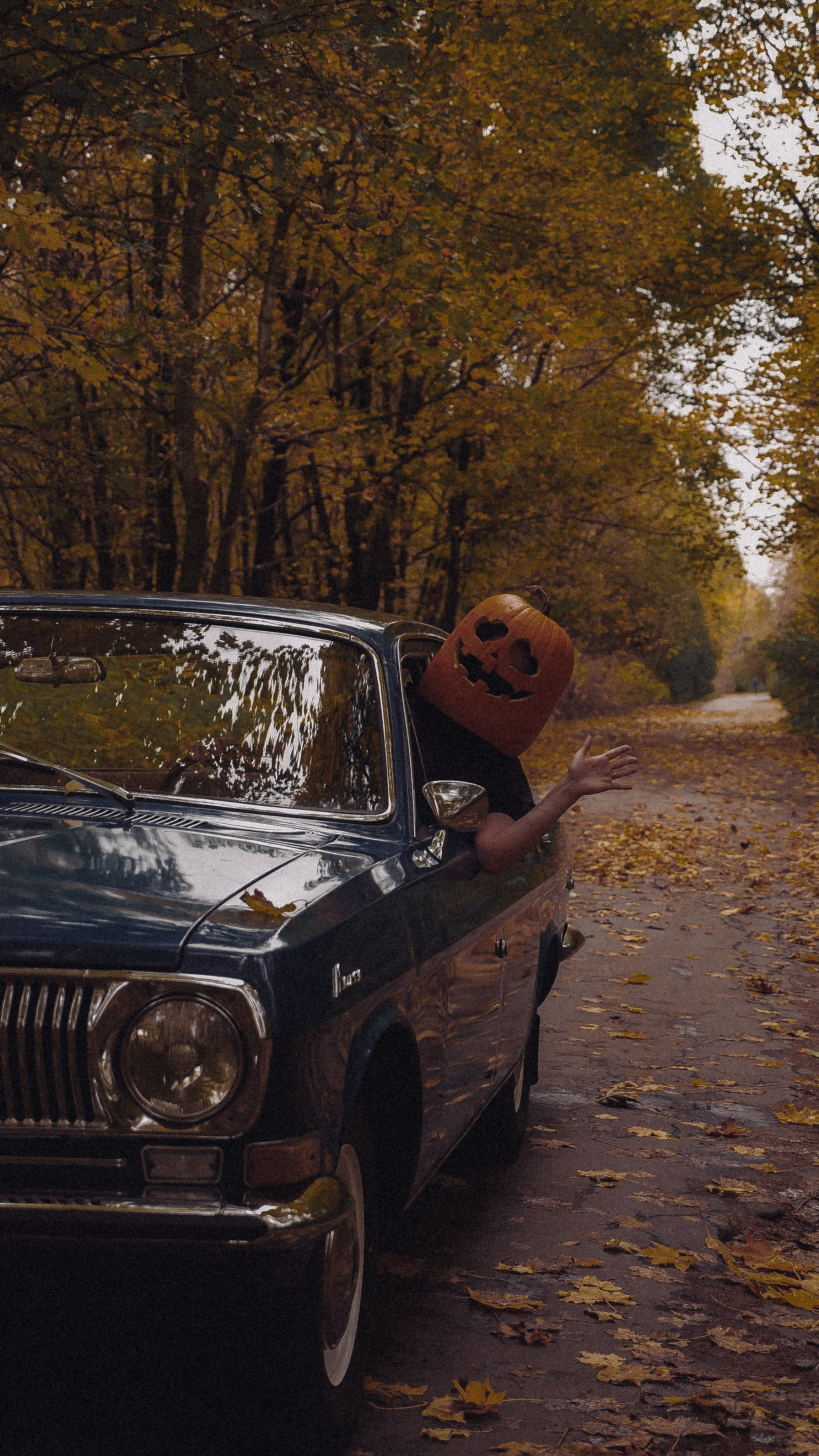 Halloween. Дарья Мейкер • Фотограф в Санкт-Петербурге