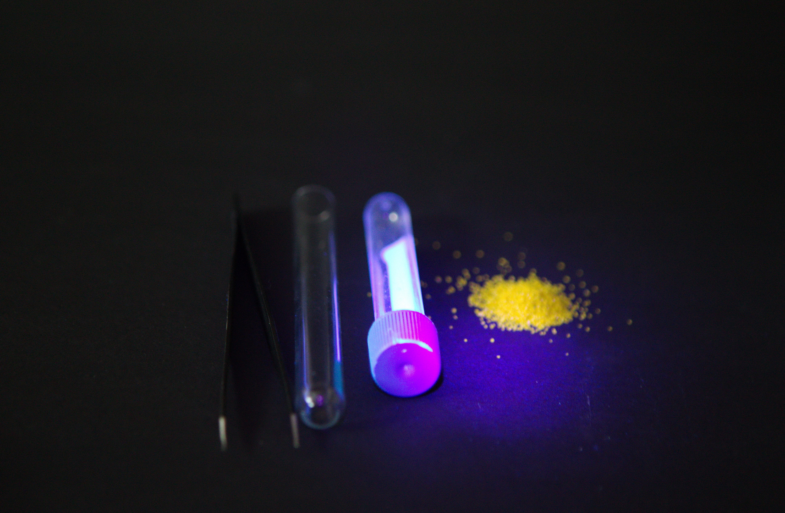 Myrmikeeper. Vasilisa Moiseeva, St. Peterburg, Russia, doc /art & reportage