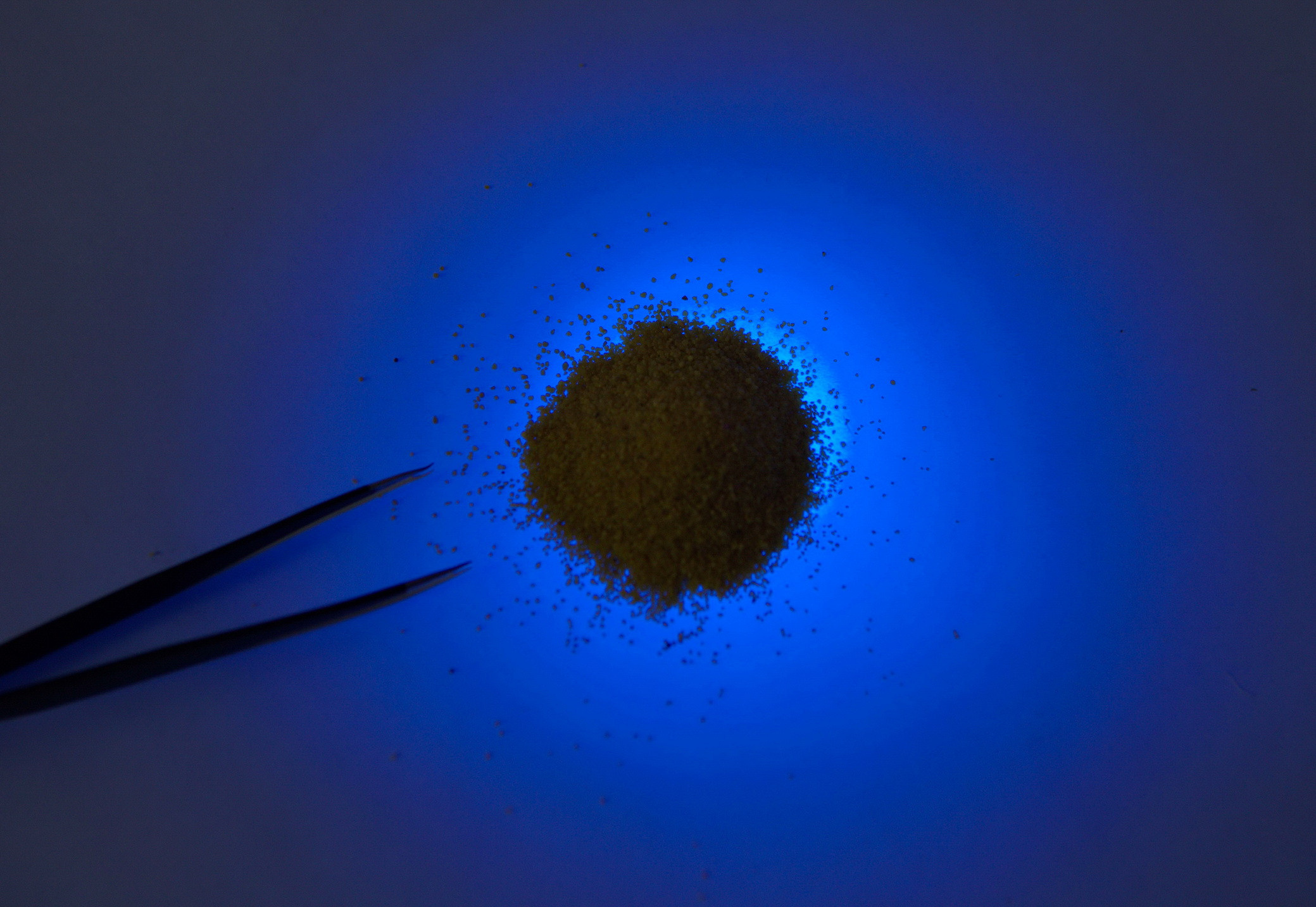 Myrmikeeper. Vasilisa Moiseeva, St. Peterburg, Russia, doc /art & reportage