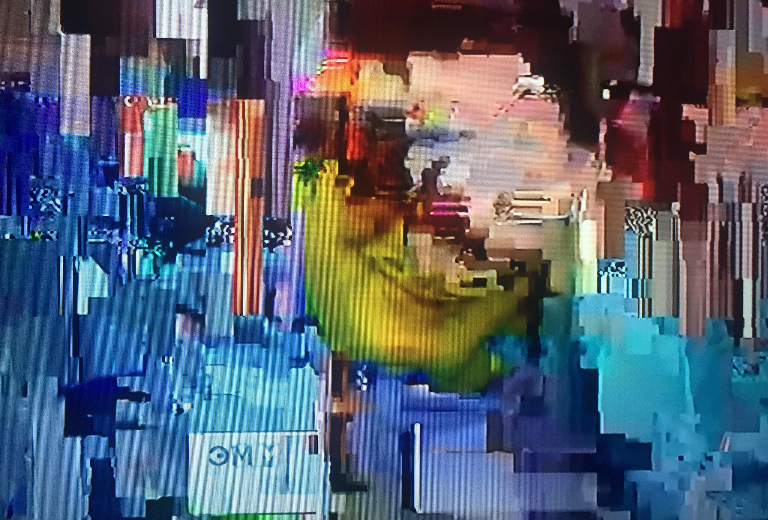 Myrmikeeper. Vasilisa Moiseeva, St. Peterburg, Russia, doc /art & reportage