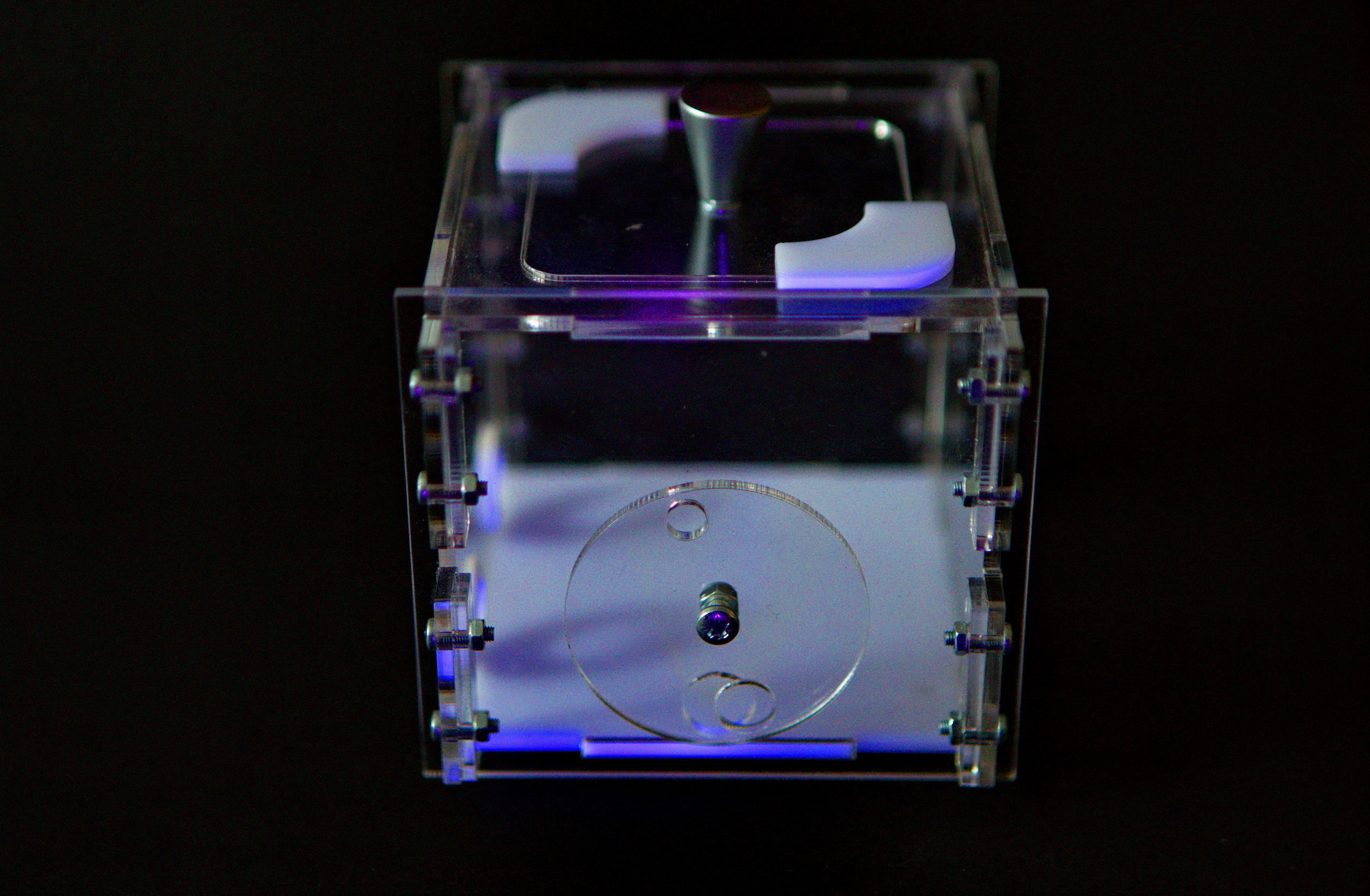 Myrmikeeper. Vasilisa Moiseeva, St. Peterburg, Russia, doc /art & reportage