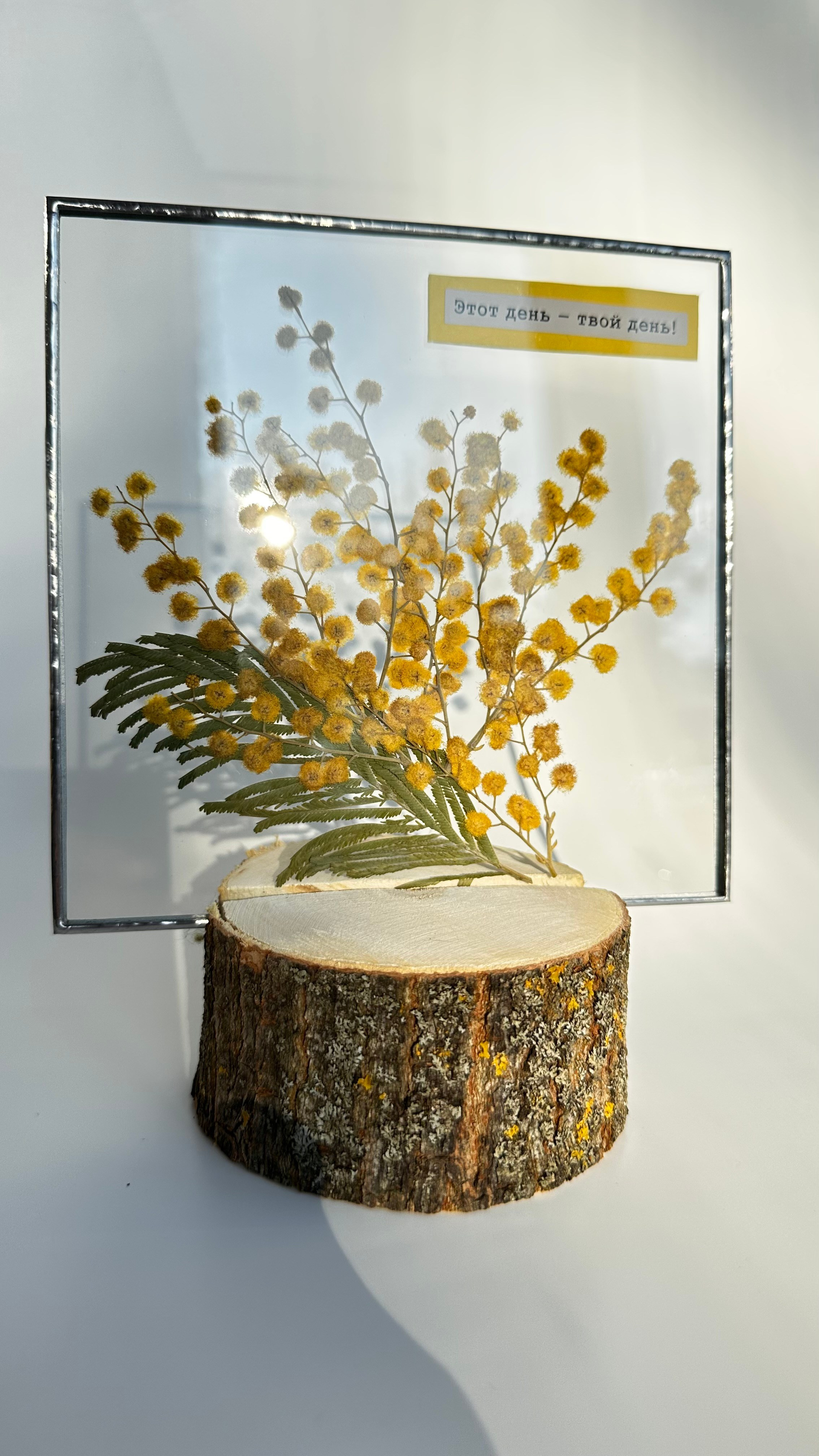 Гербарий в стекле с сухоцветами (витраж в технике тиффани). Гербарий в стекле, интерьерные панно, витражи с сухоцветами в технике тиффани