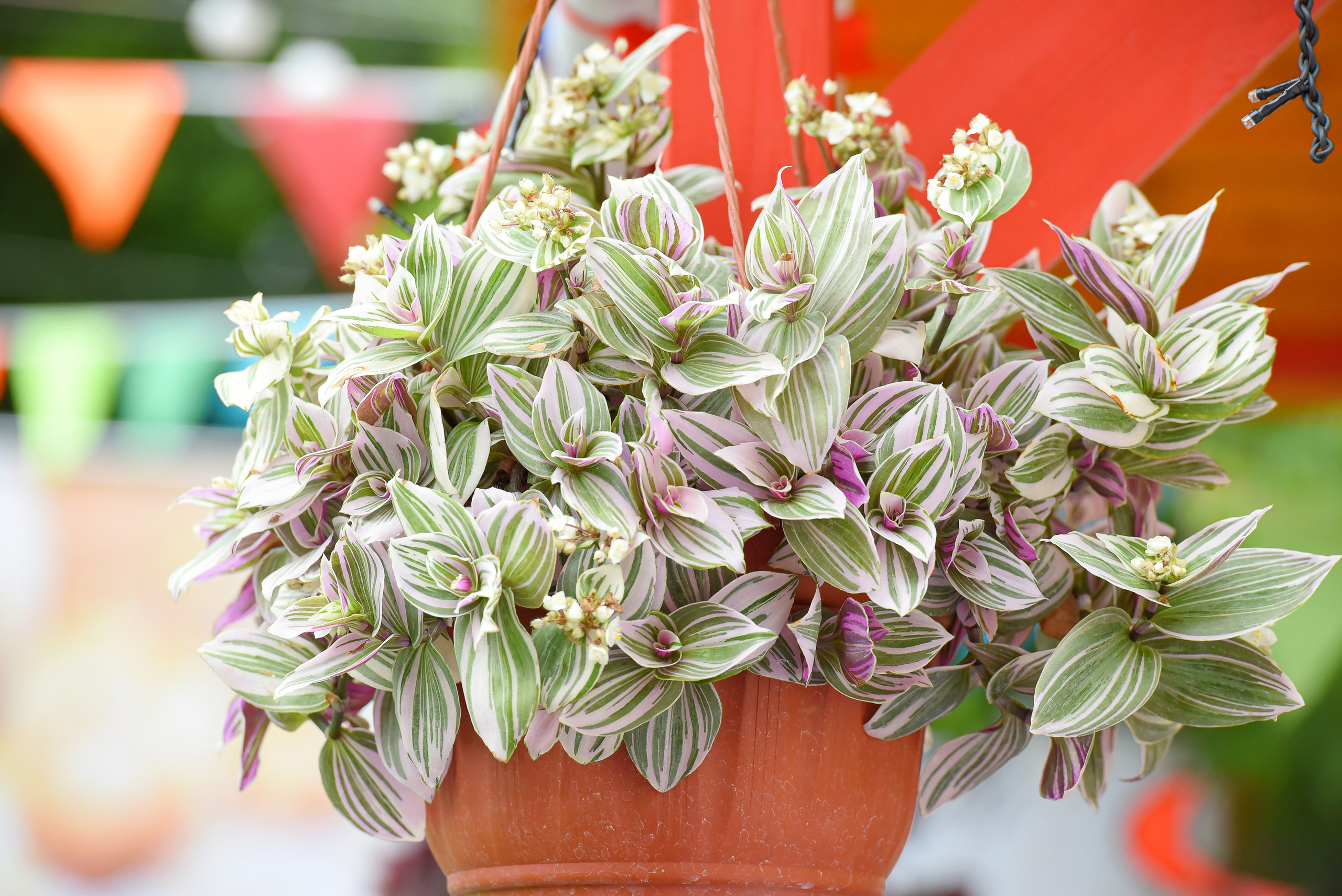 Детский сад. Римма Гусакова. Выпускные фотокниги. Детские и семейные фотосессии