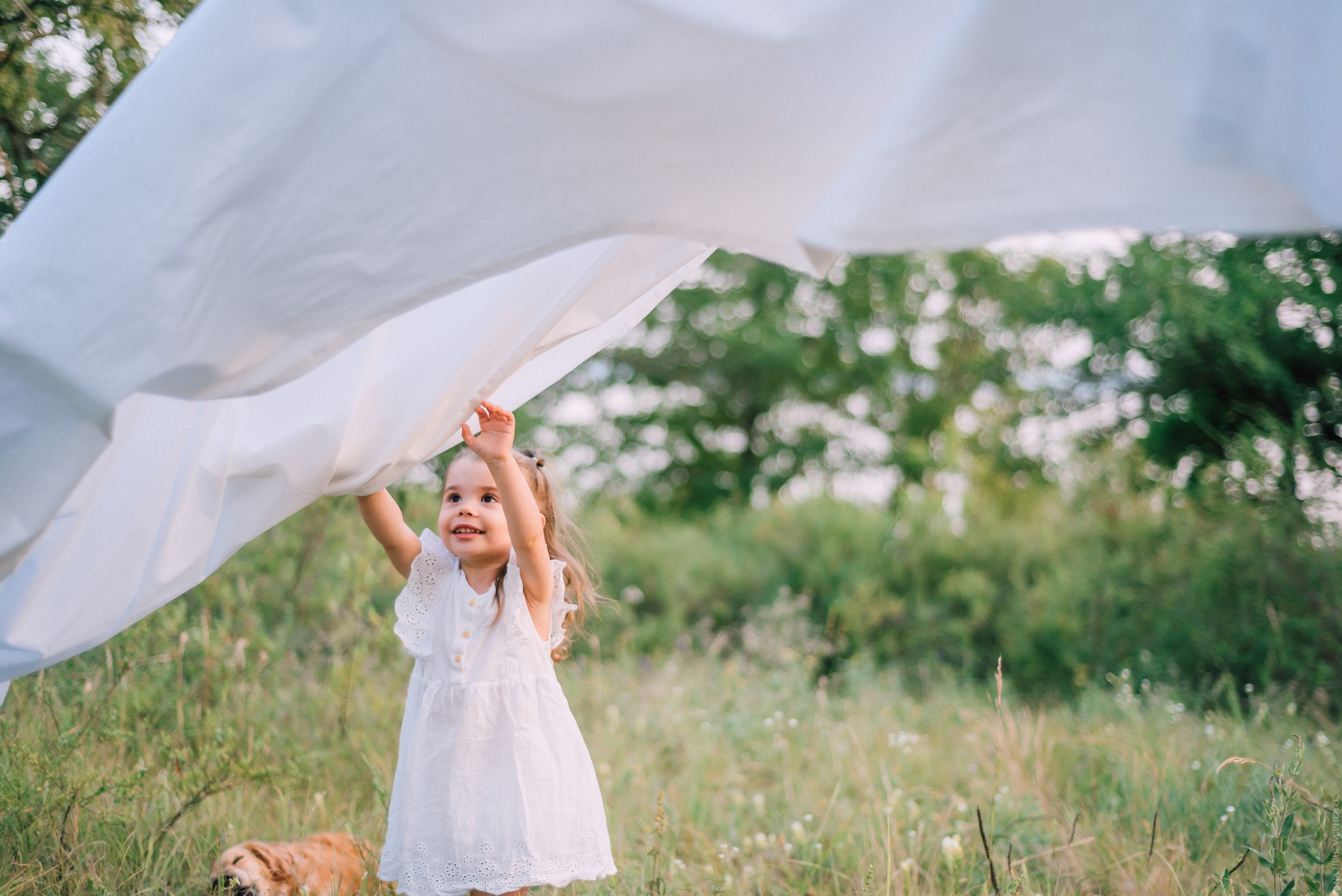 Вечерняя прогулка в лесу. Свадебный и контент- фотограф в Тольятти, Самаре, Москве Яна Уруева