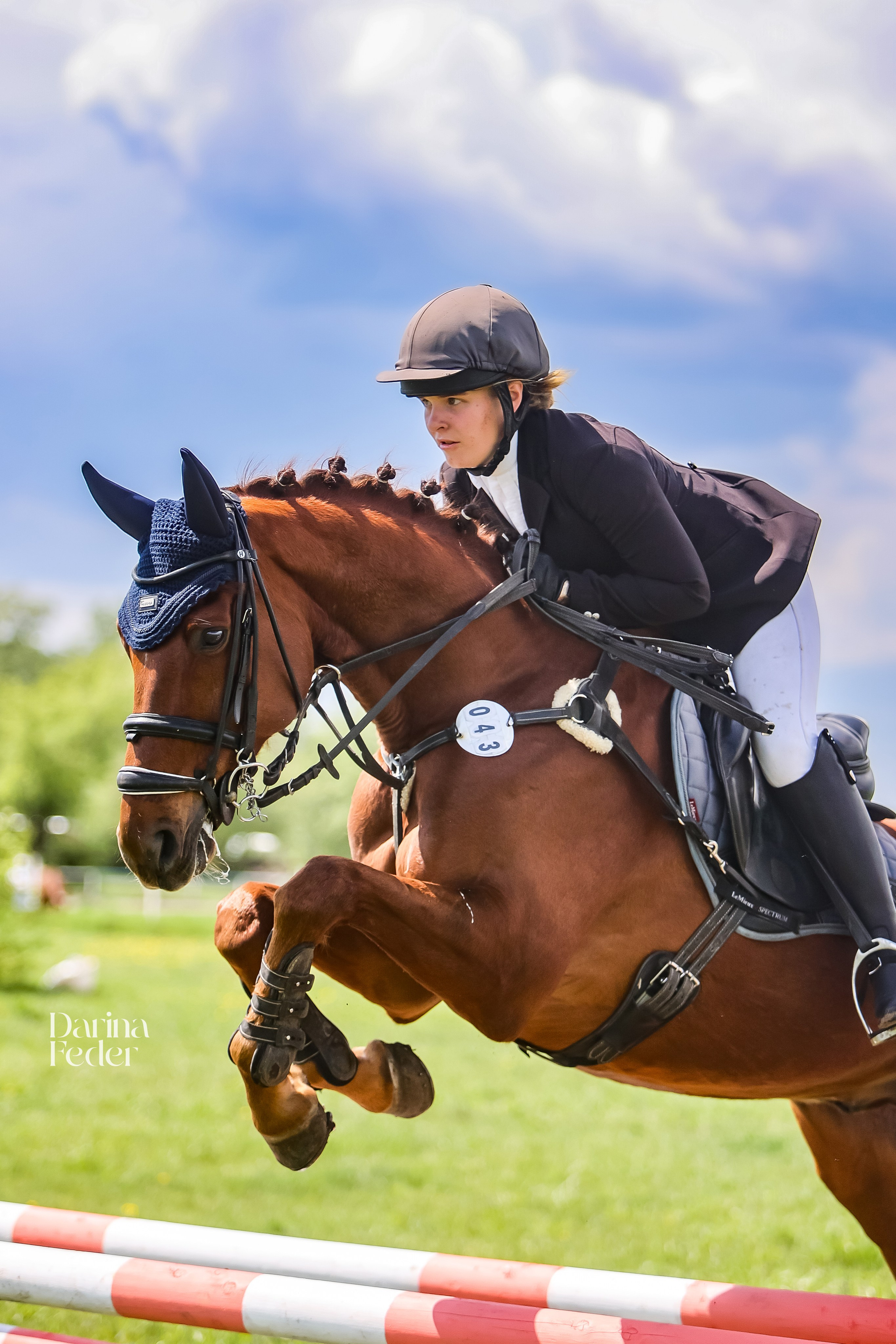 Репортаж соревнований. Главная