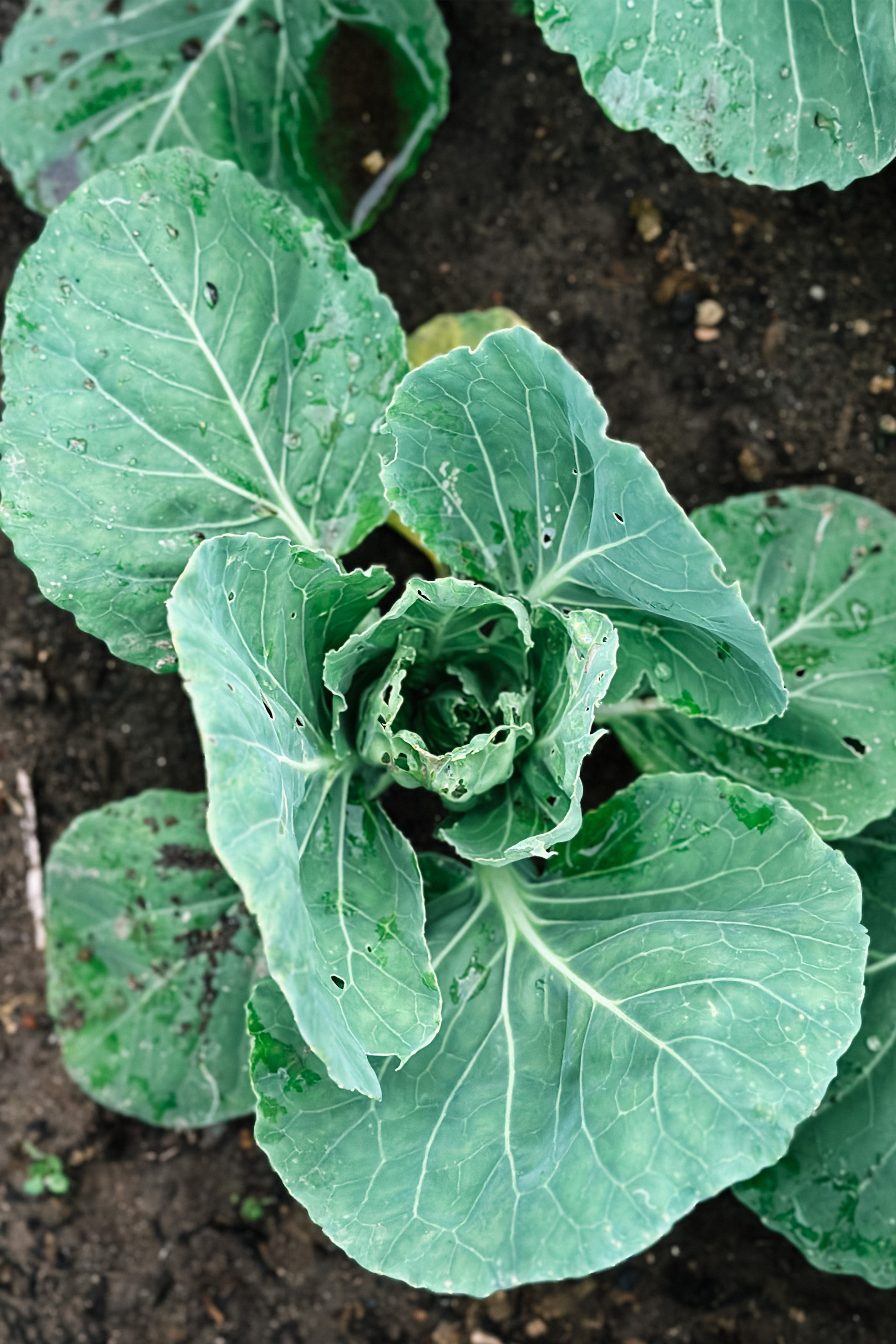 Абстракция. Команда фотографов Кристины Ивановой