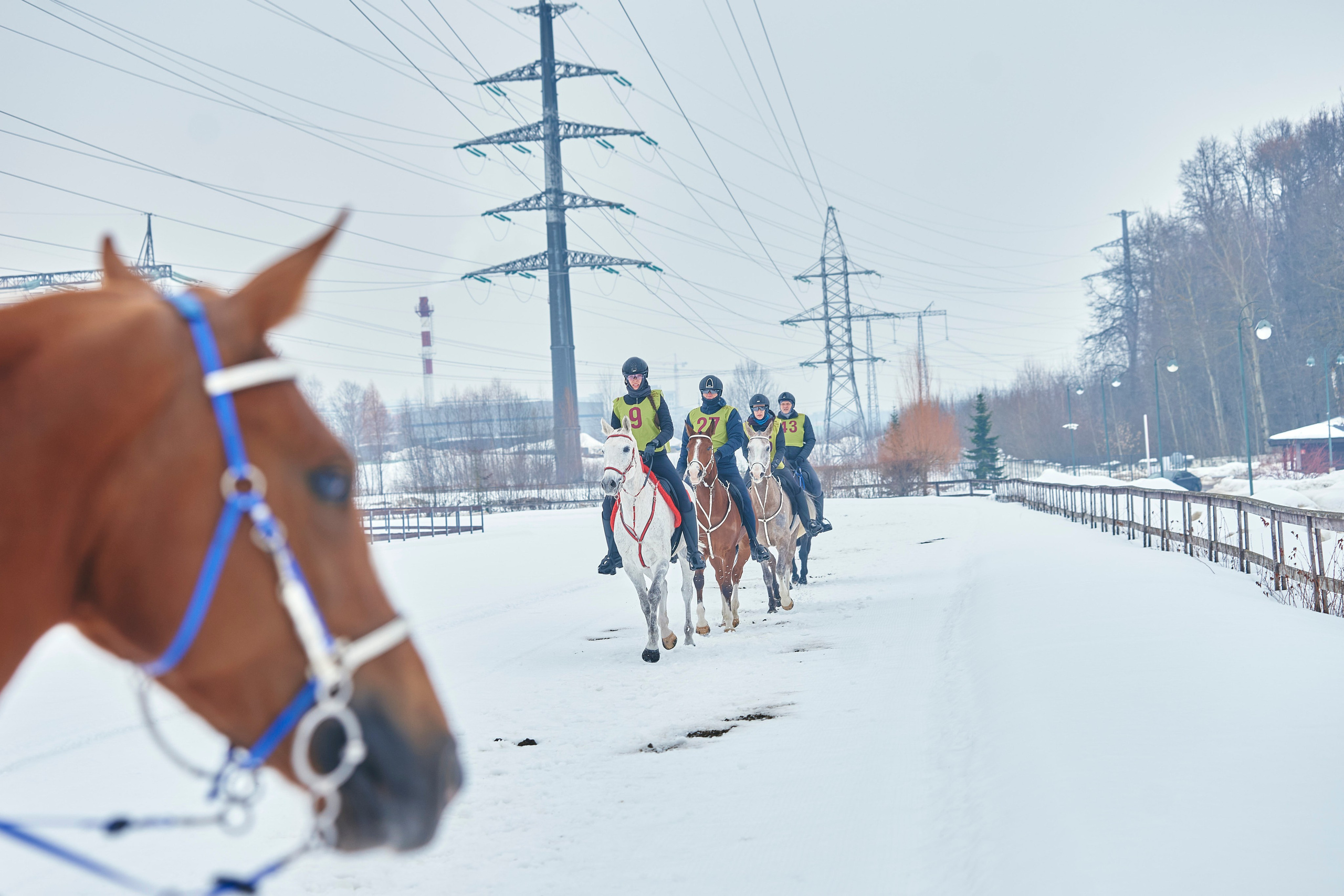 HORSE RACING. Фотограф Наталья Леонова