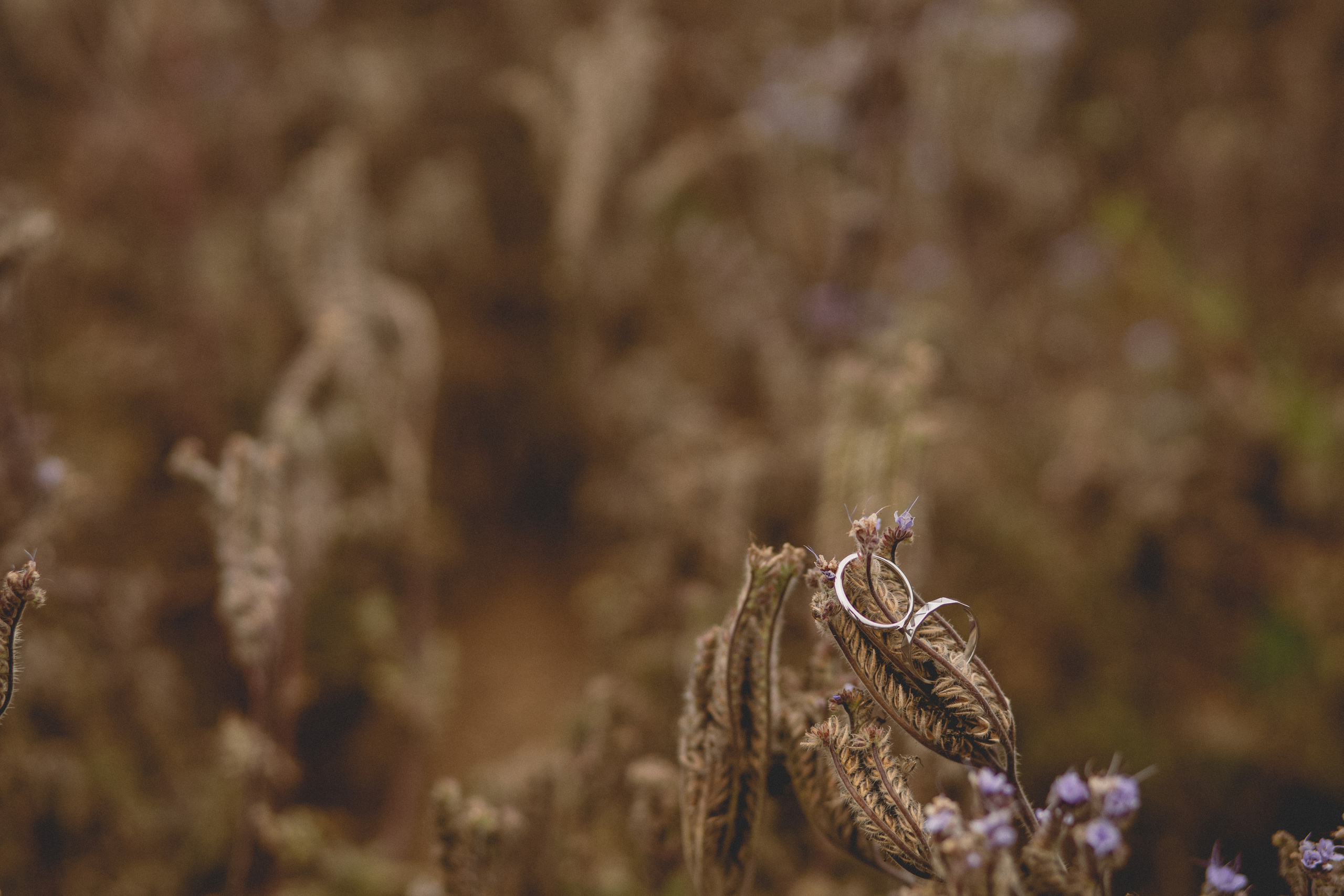 Влад и Ирина. Свадебный и семейный фотограф Екатеринбург