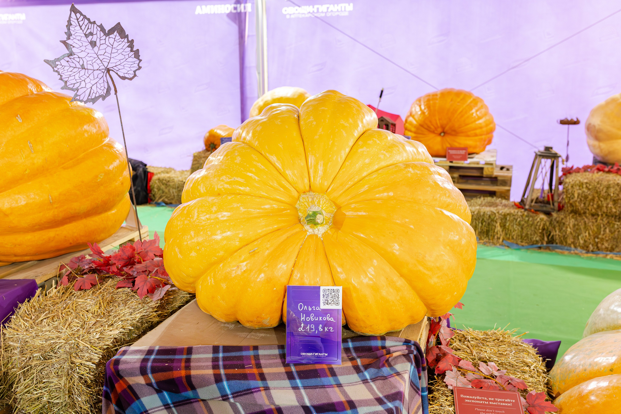 Овощи-гиганты. Александра Куликова фотограф, Москва